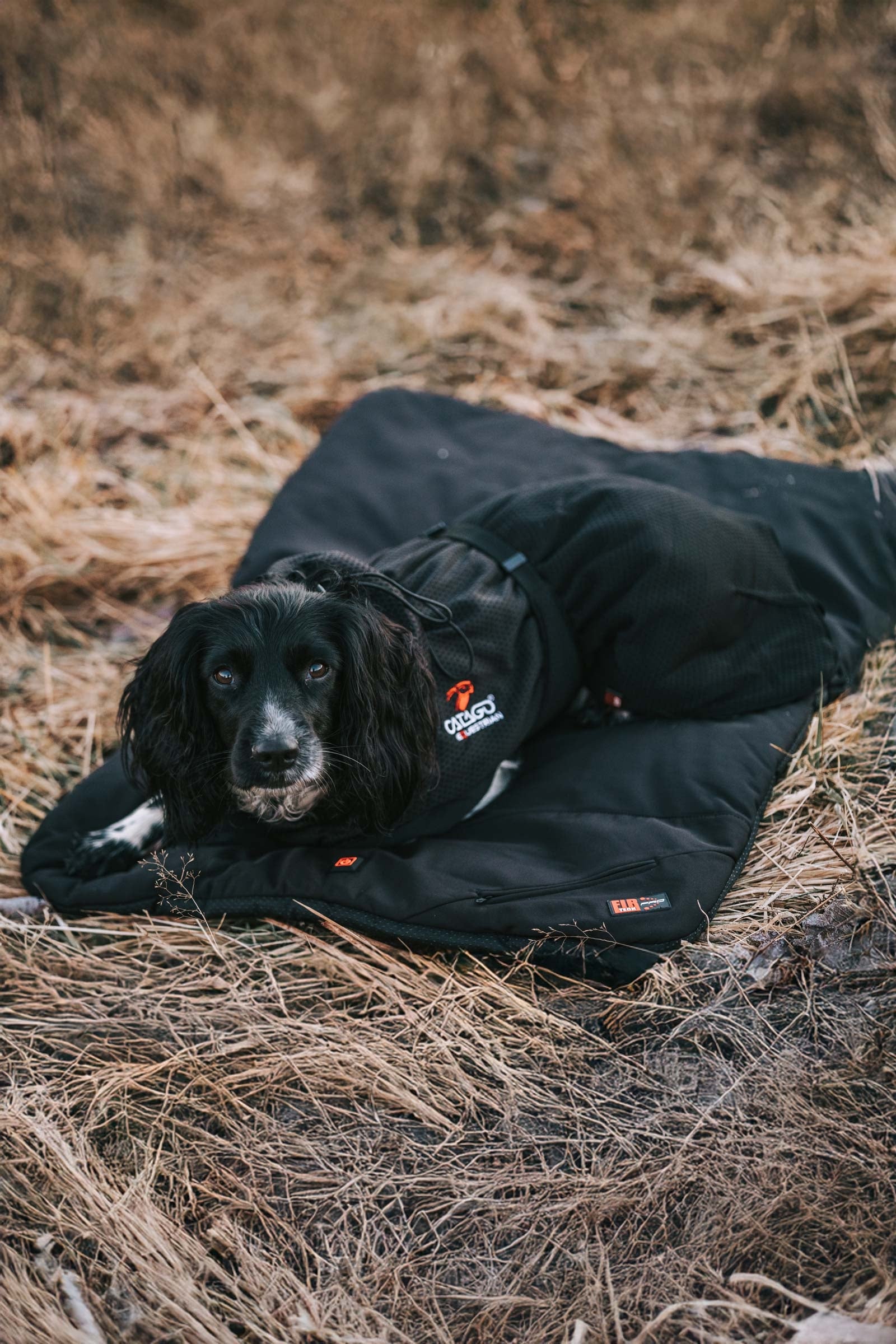 Catago CATAGO FIR-Tech Pro Dog Pillow Dog Accesories