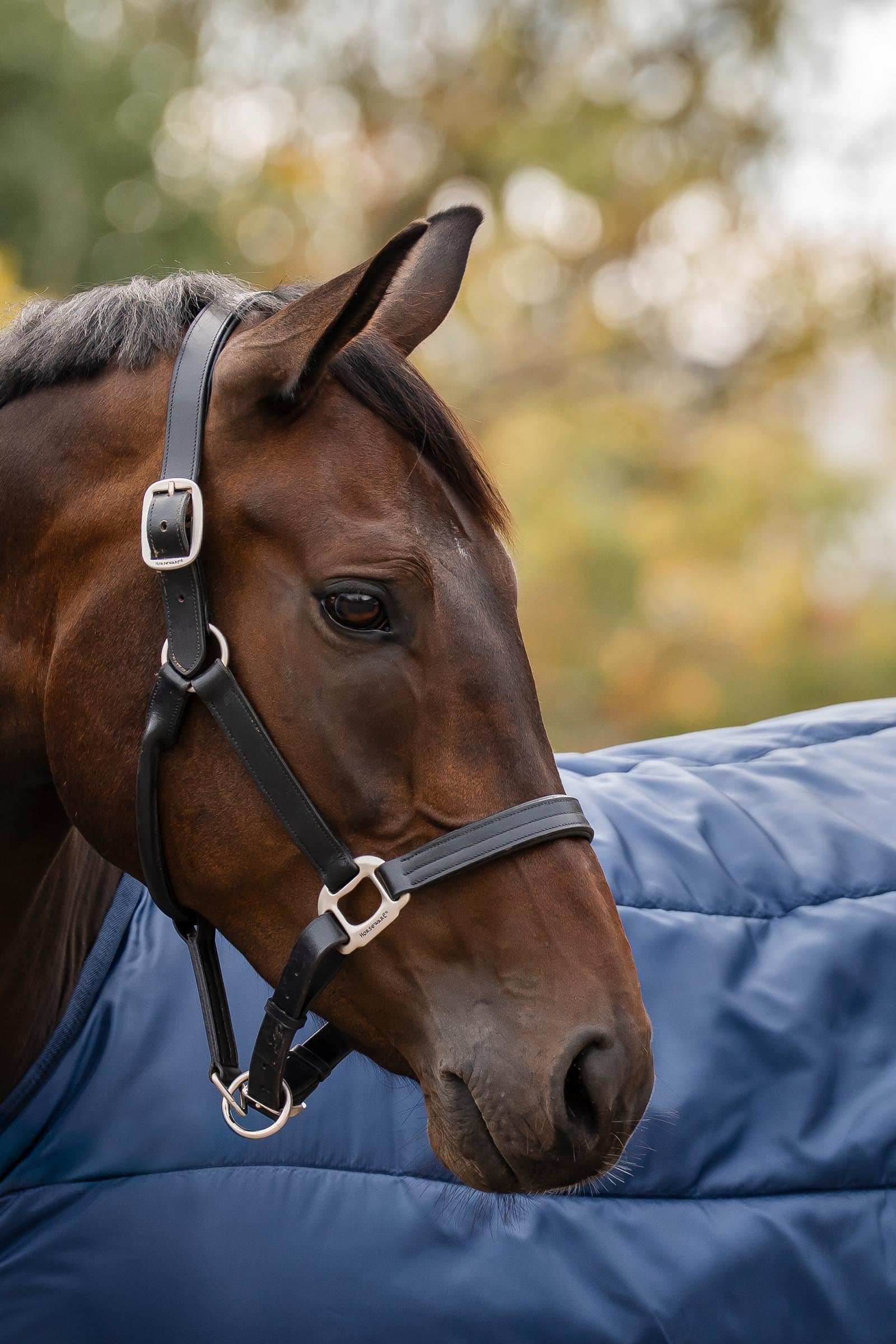 Horseware Liner 300g Horse Rugs