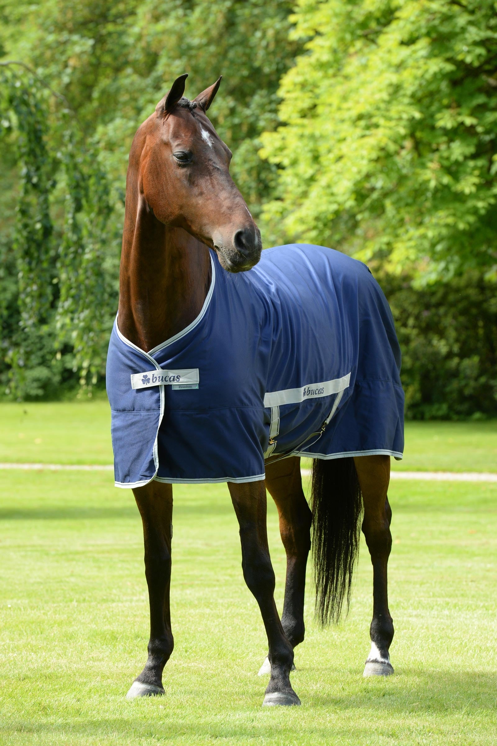 Bucas Freedom Twill Stable Rug, 0 g Horse Rugs