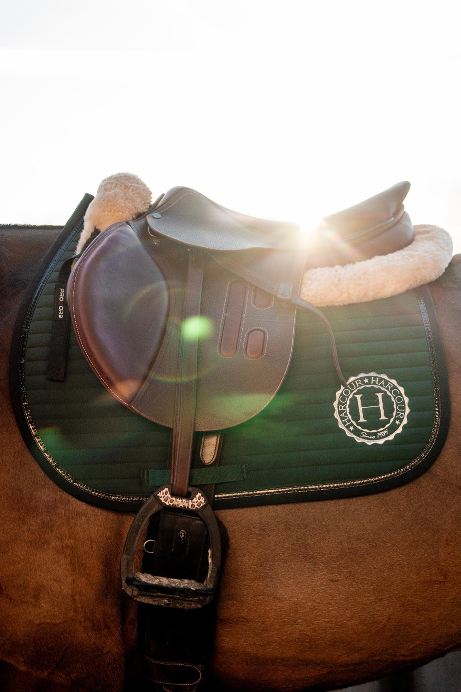 Harcour Karembar Jumping Saddle Pad Saddle Pads