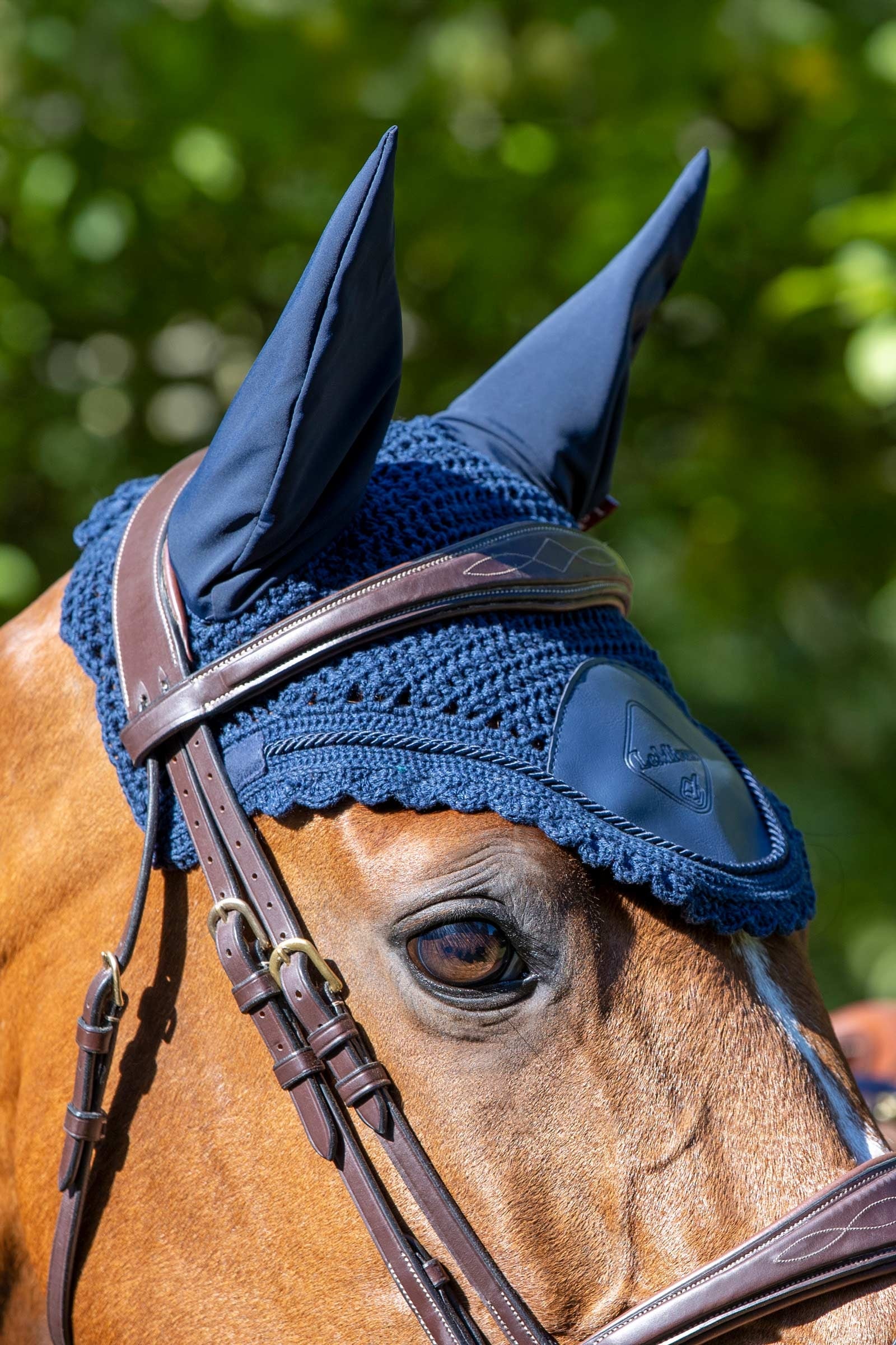 LeMieux Elite Ear Hood Antifly Protection for Horses