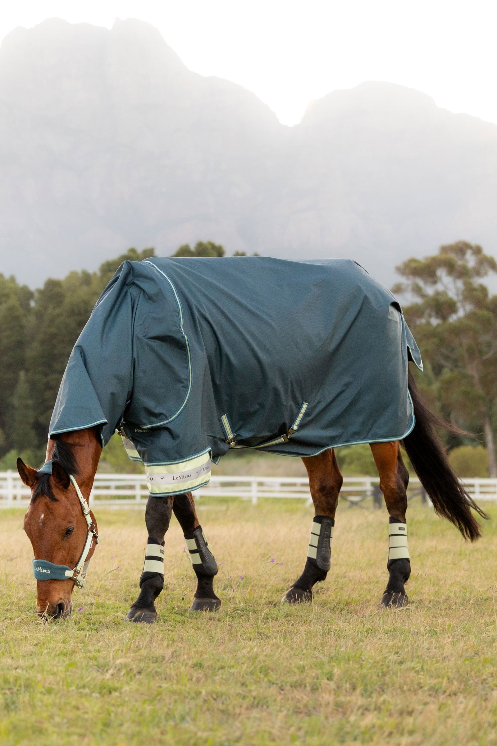 LeMieux Arika Ripstop Turnout Rug With Detachable Neck, 50g Horse Rugs