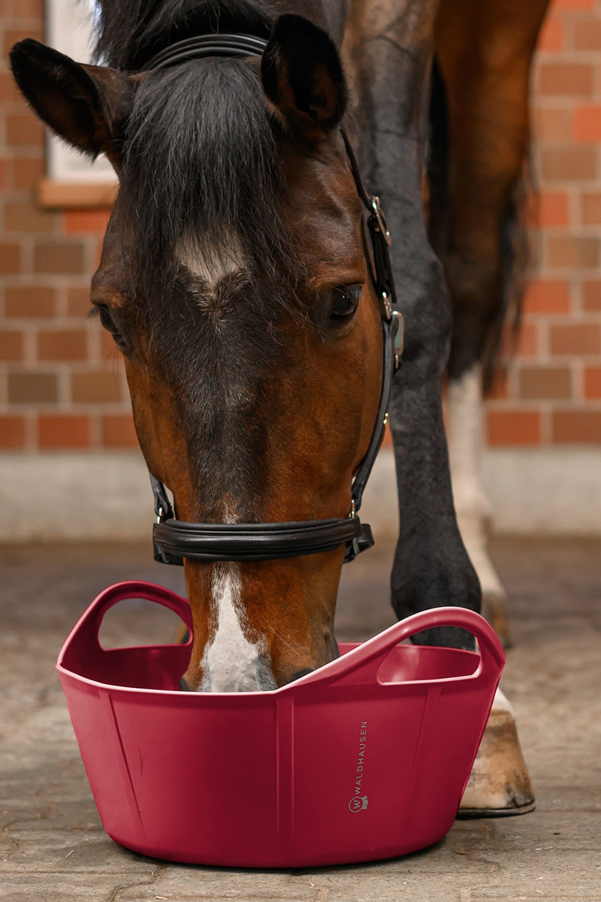 Waldhausen Flexi Tub, 10 L Horse Feeders & Waterers