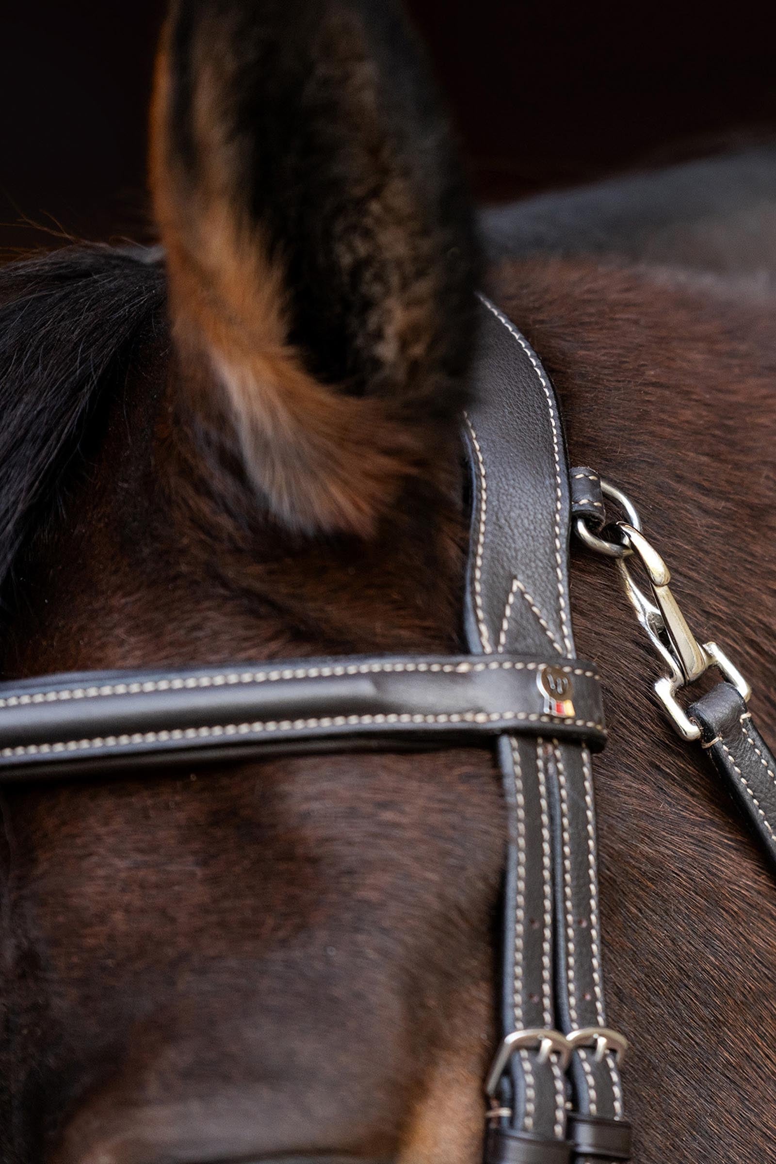 Waldhausen Work X-Line Snaffle Bridle Bridles & Reins