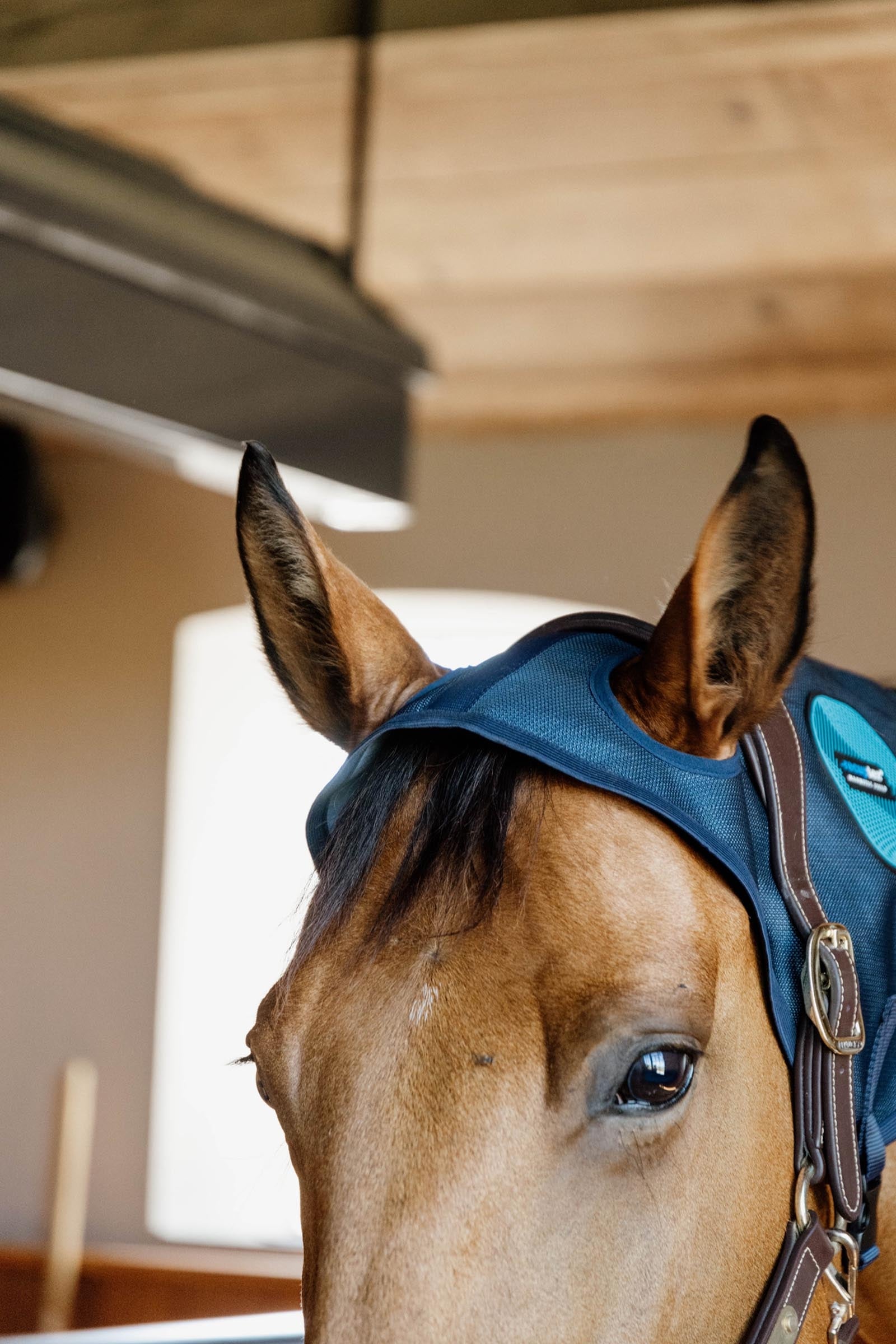 Kentucky Horsewear Kentucky Horseware Recuptex Magnetic Neck Protector Horse Rugs