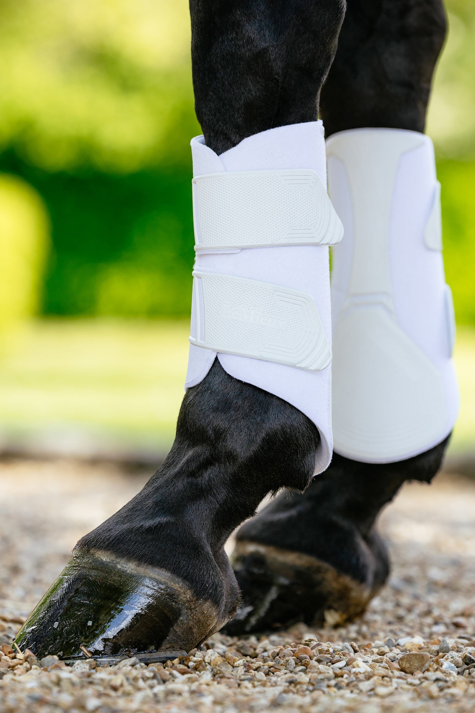 LeMieux Technical Brushing Boots Leg & Hoof Protection