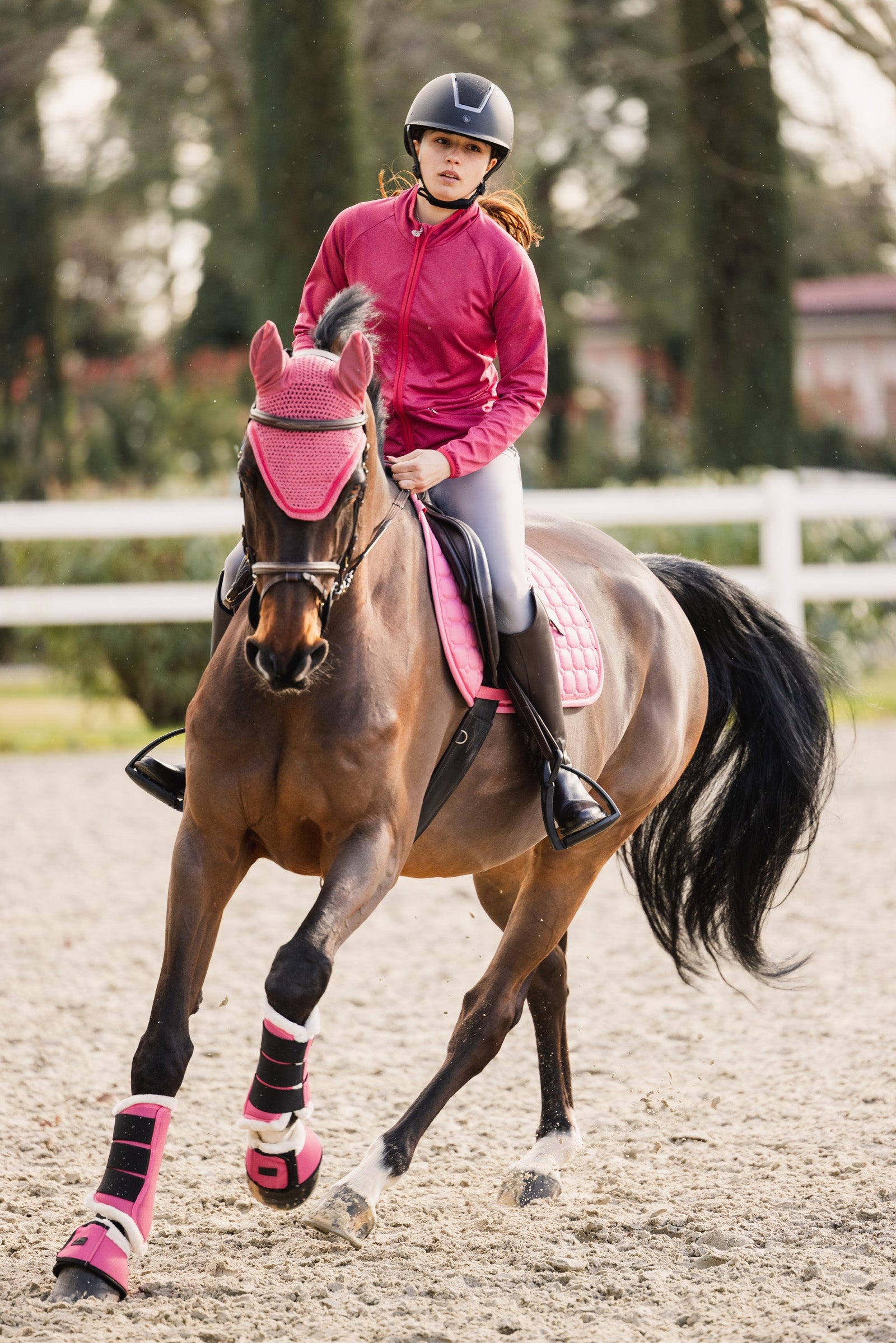 Horze Rose Tonique Fly Hood Antifly Protection for Horses