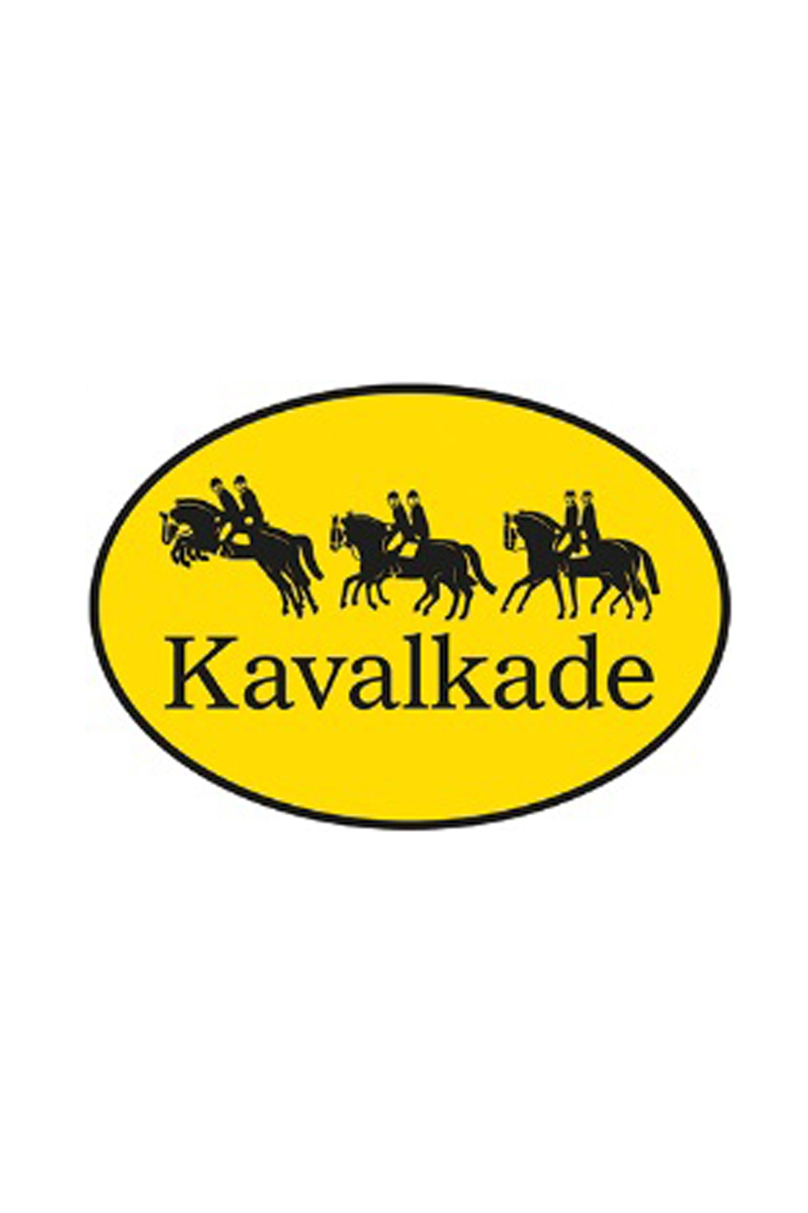 Kavalkade Lead Rope with Silver Carabiner Halters & Leads