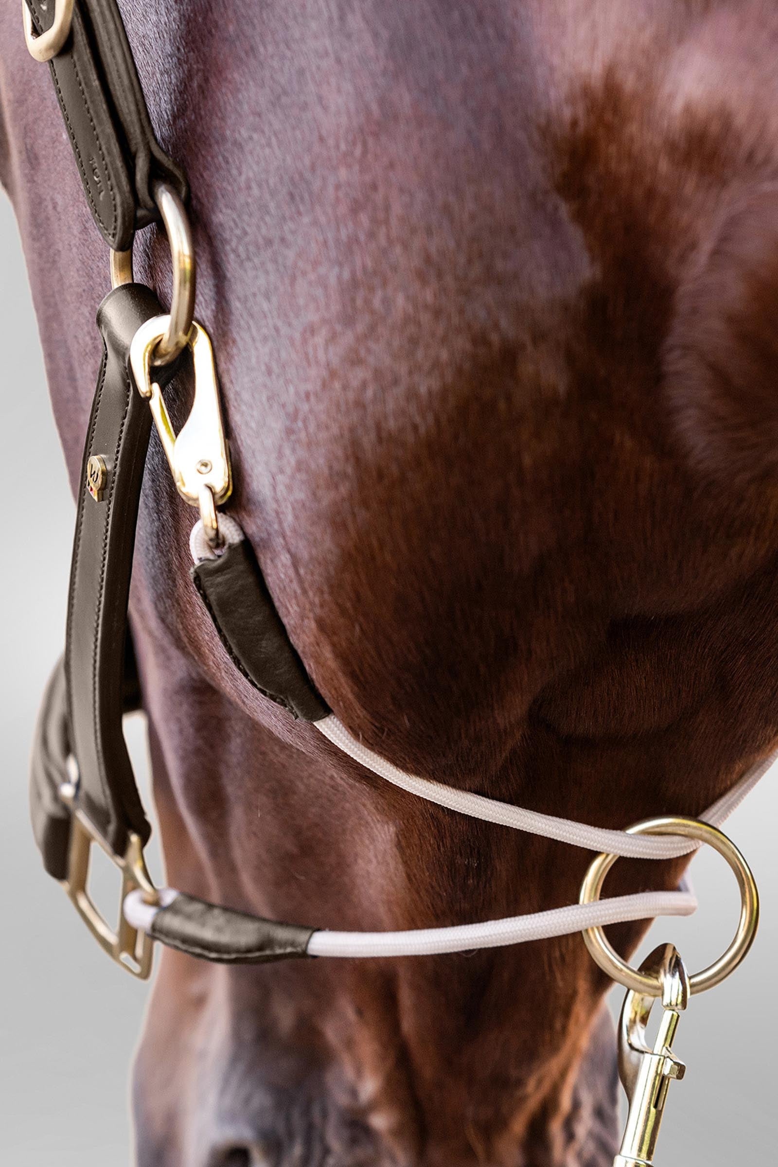 Waldhausen Royal S-Line Leather Halter Halters & Leads