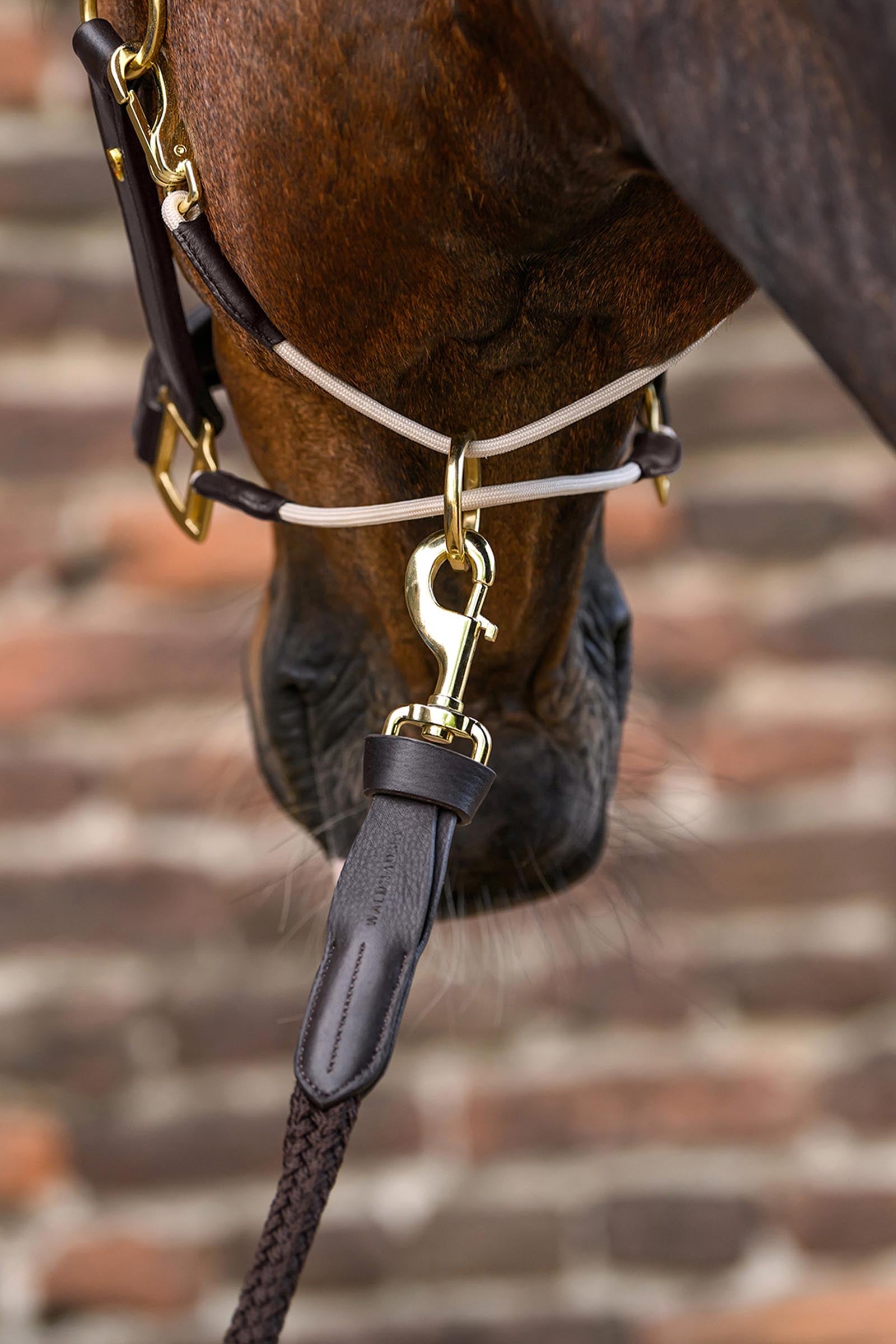 Waldhausen Royal S-Line Leather Halter Halters & Leads
