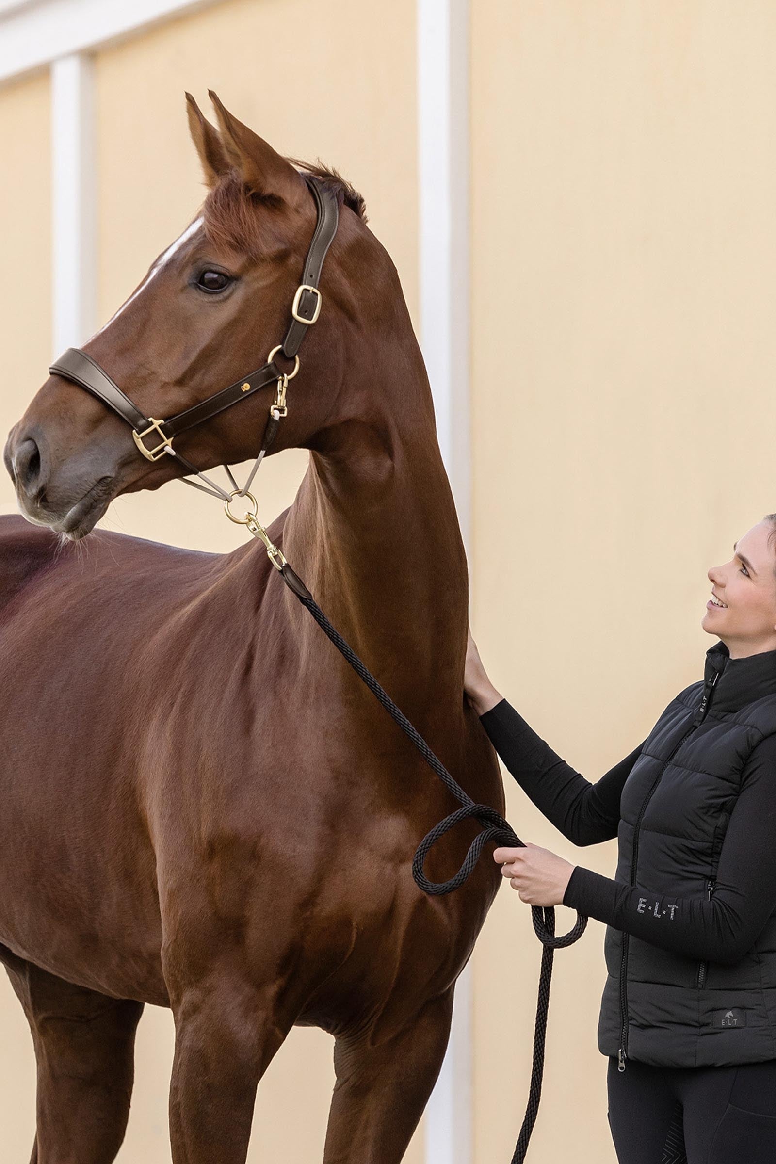Waldhausen Royal S-Line Leather Halter Halters & Leads
