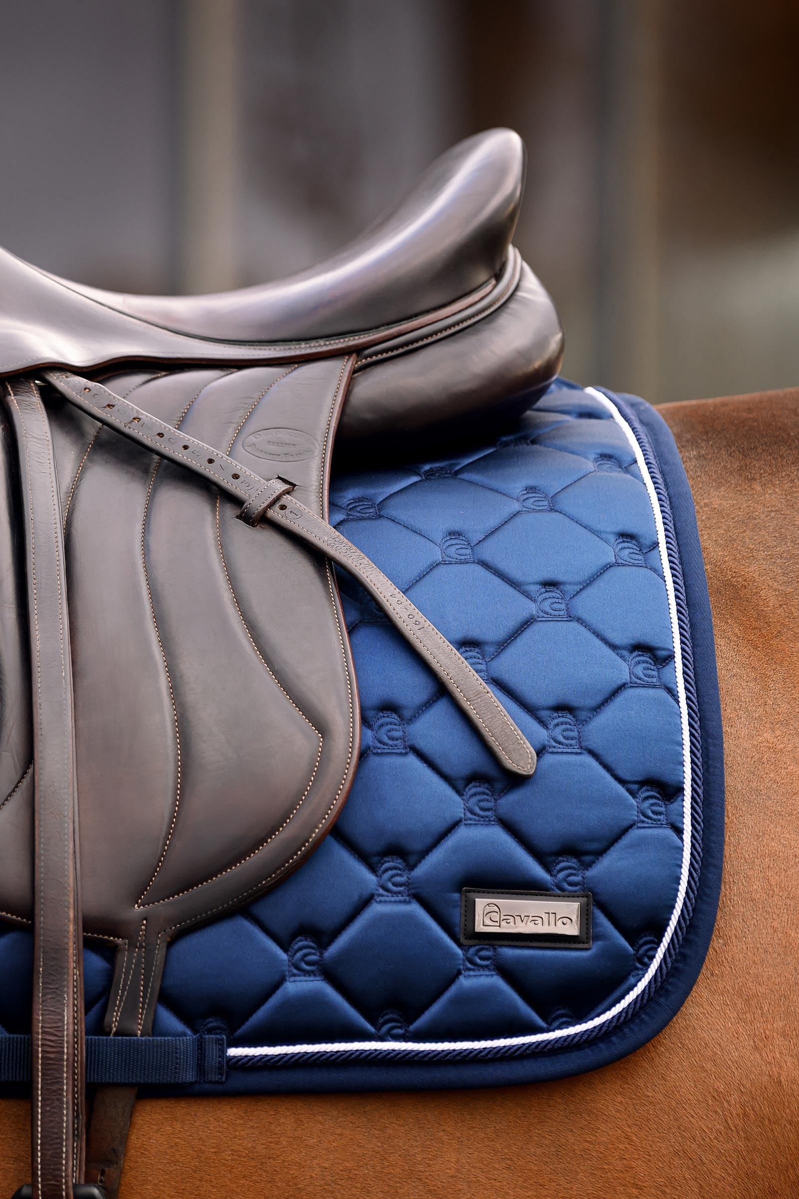 Cavallo CAVALHANAYA Dressage Saddle Pad Saddle Pads