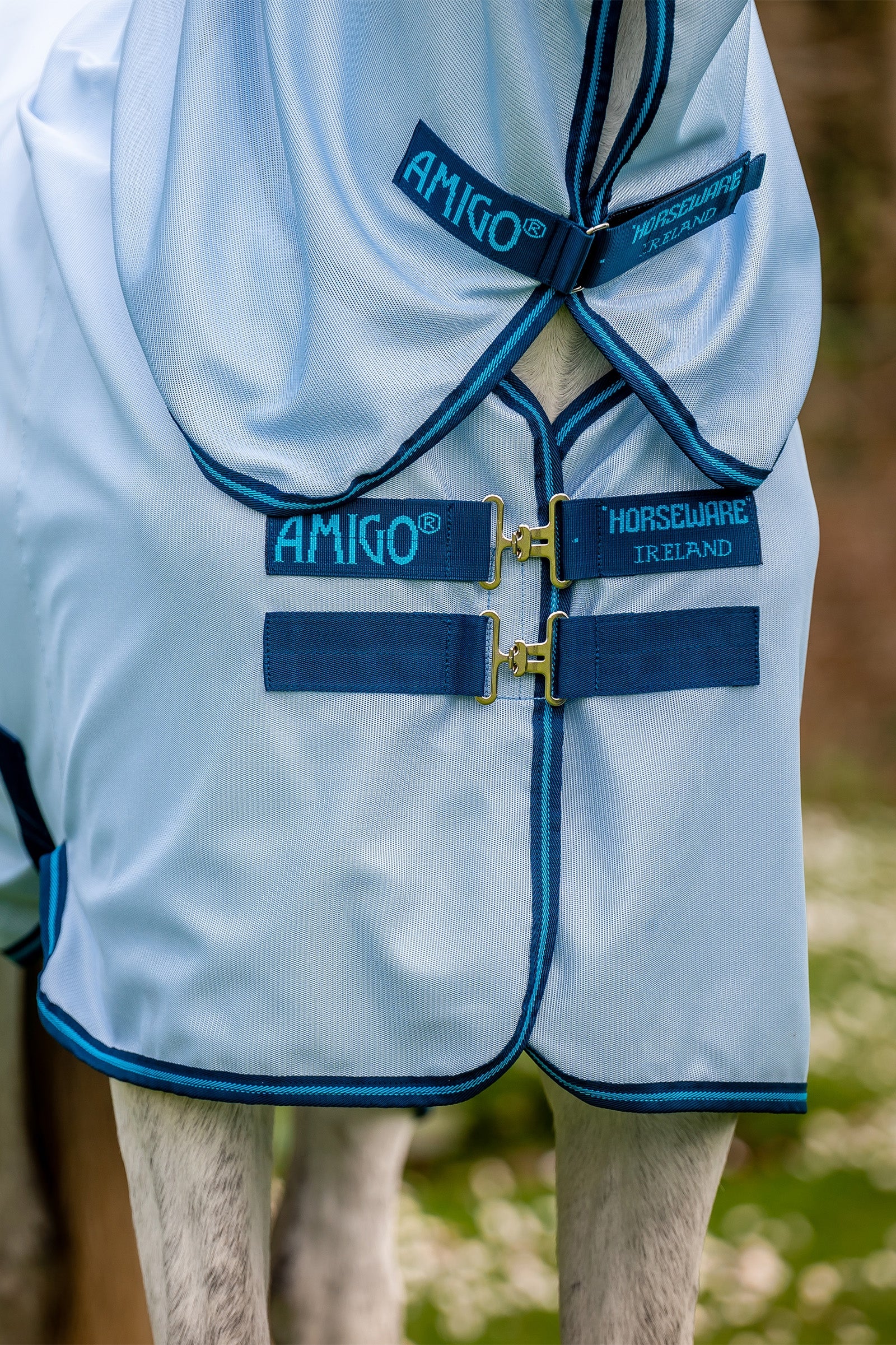 Alt Tag fallback text for IMAGE