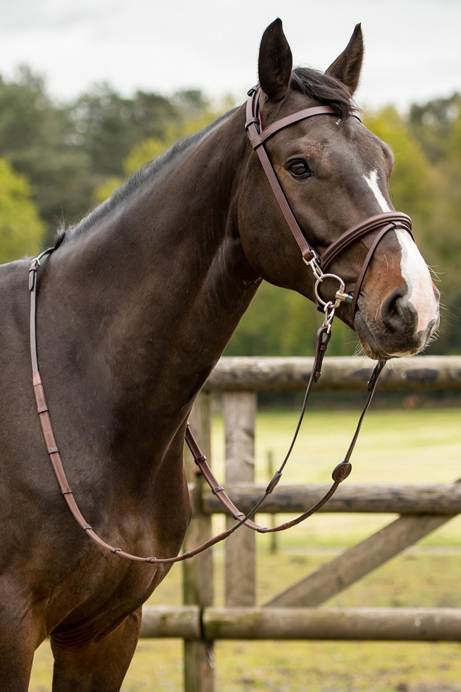 Trust Equestrian Hamburg Training Bridle W Padding & Rubber Reins Bridles & Reins