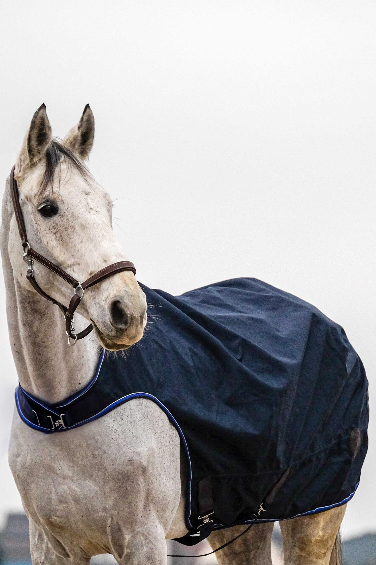 EQUITHÈME Classic 1200D Walker Sheet Horse Rugs
