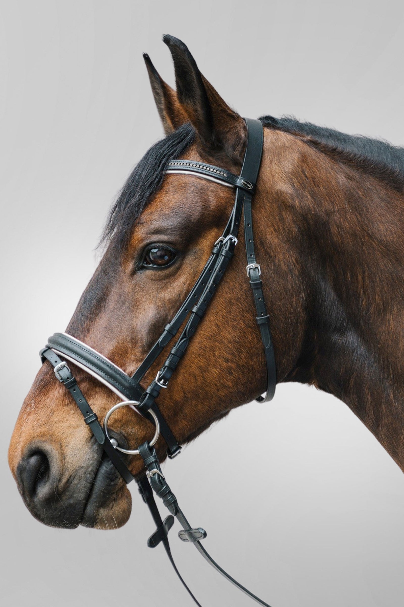 Waldhausen Star Diamant Bridle Bridles & Reins