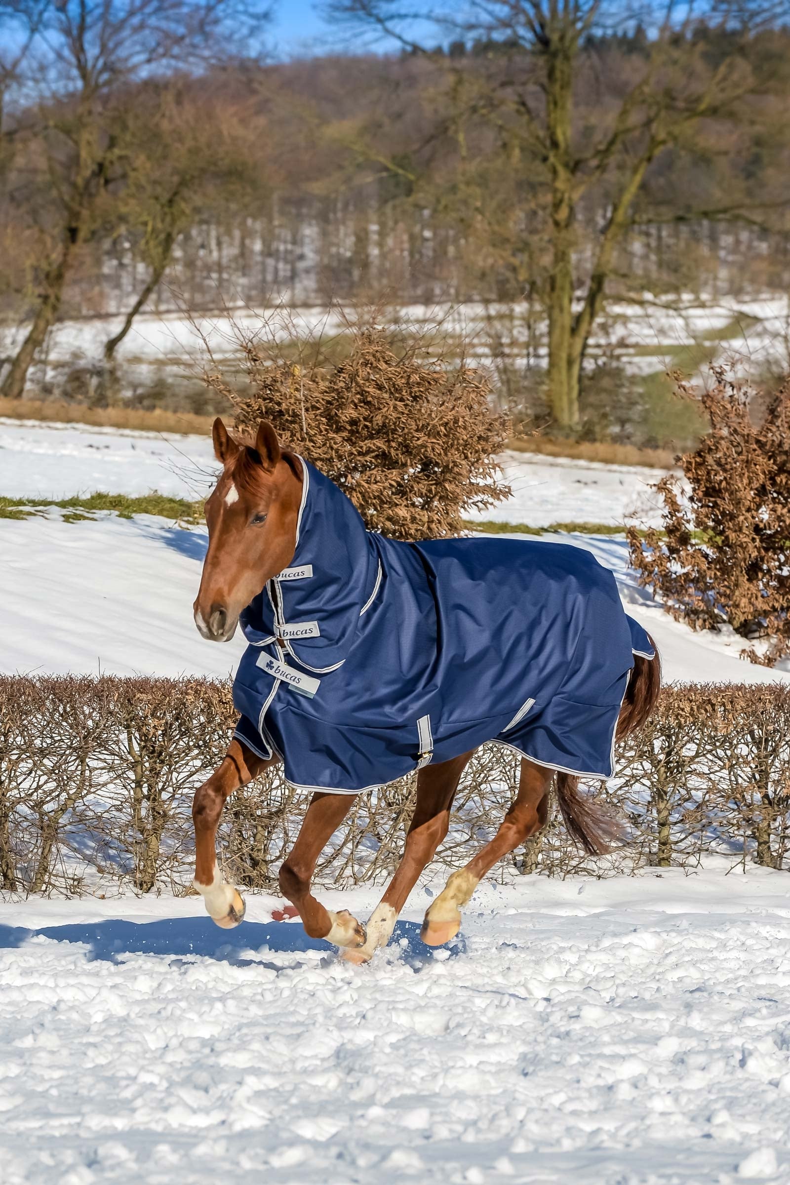 Bucas Freedom Turnout 300g with 150g Fixed Neck Horse Rugs