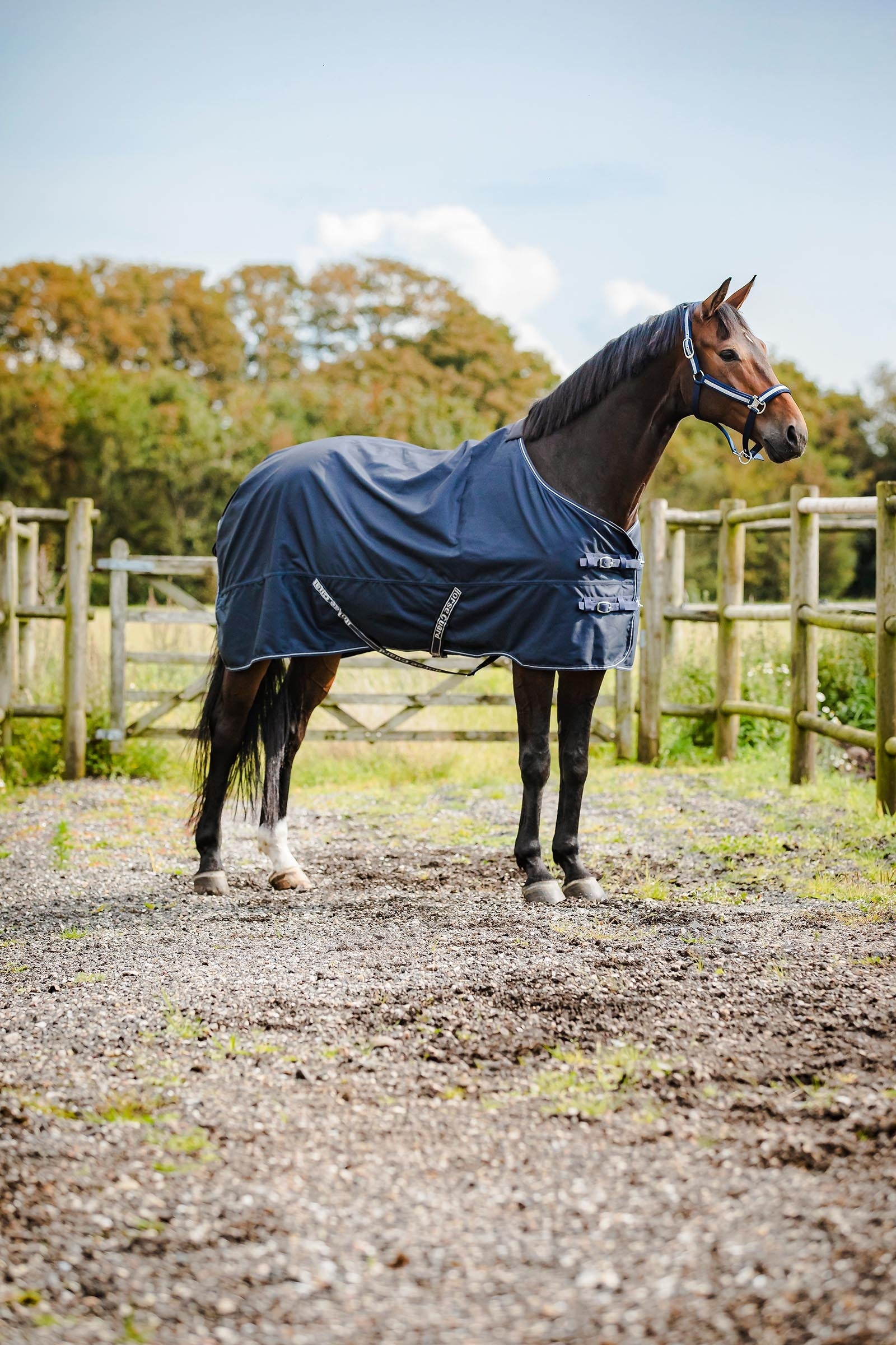 Horse Guard HorseGuard Landon 1200D Turnout Rug Standard Neck, 0 g Horse Rugs