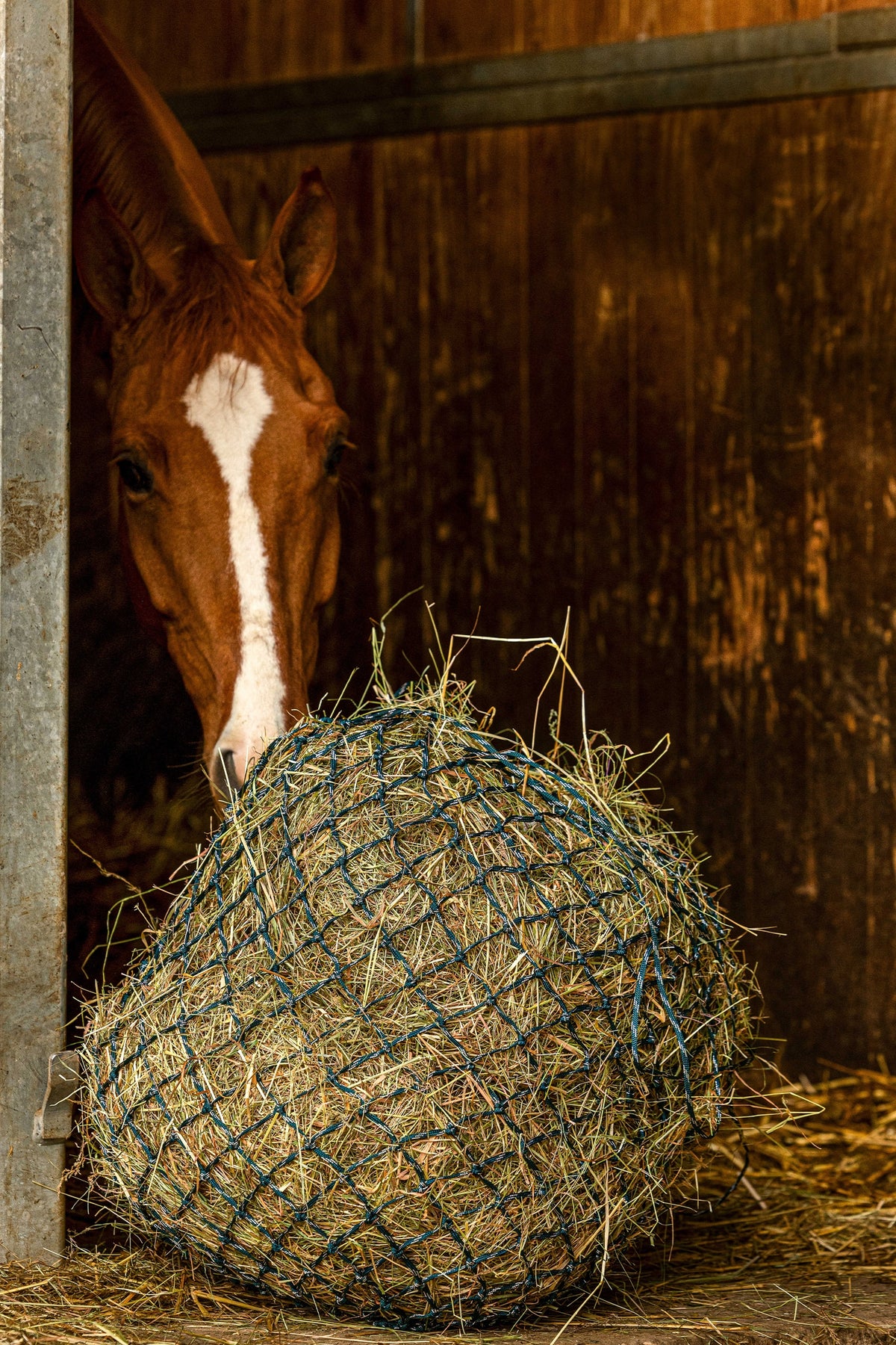 HIPPOTONIC ZARI Hay Net (105 cm), 5 x 5 Mesh Horse Feeders & Waterers