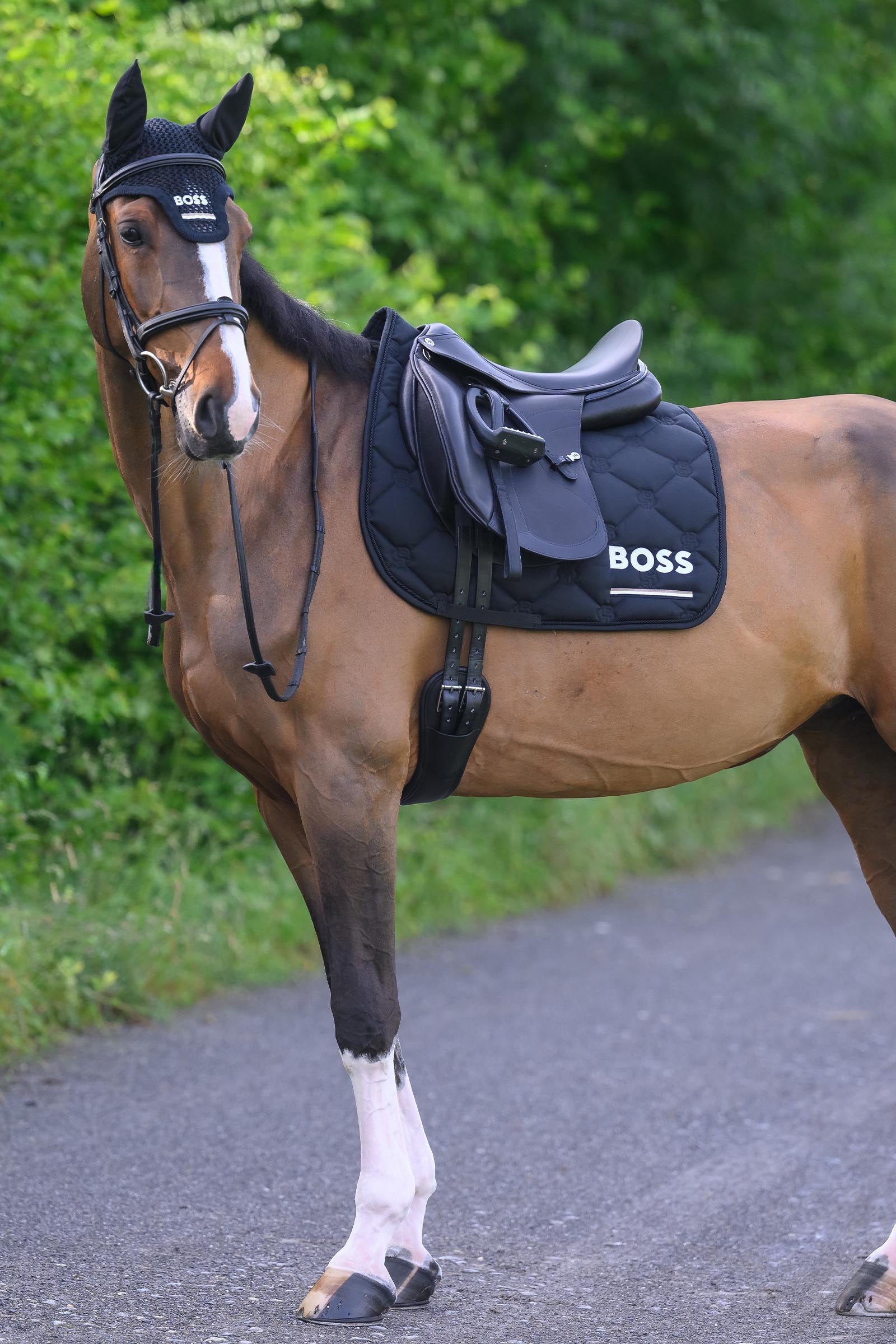 BOSS Equestrian Boss Cambridge Dressage Saddle Pad Saddle Pads