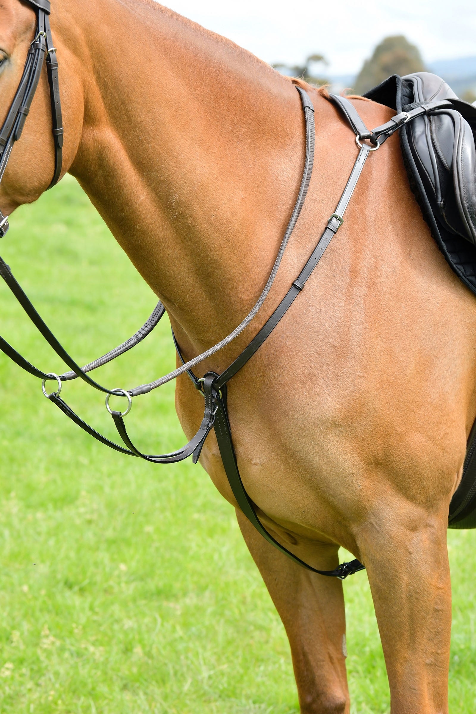 Kincade Classic 3 Point Breastplate With Running Martingale Bridles & Reins