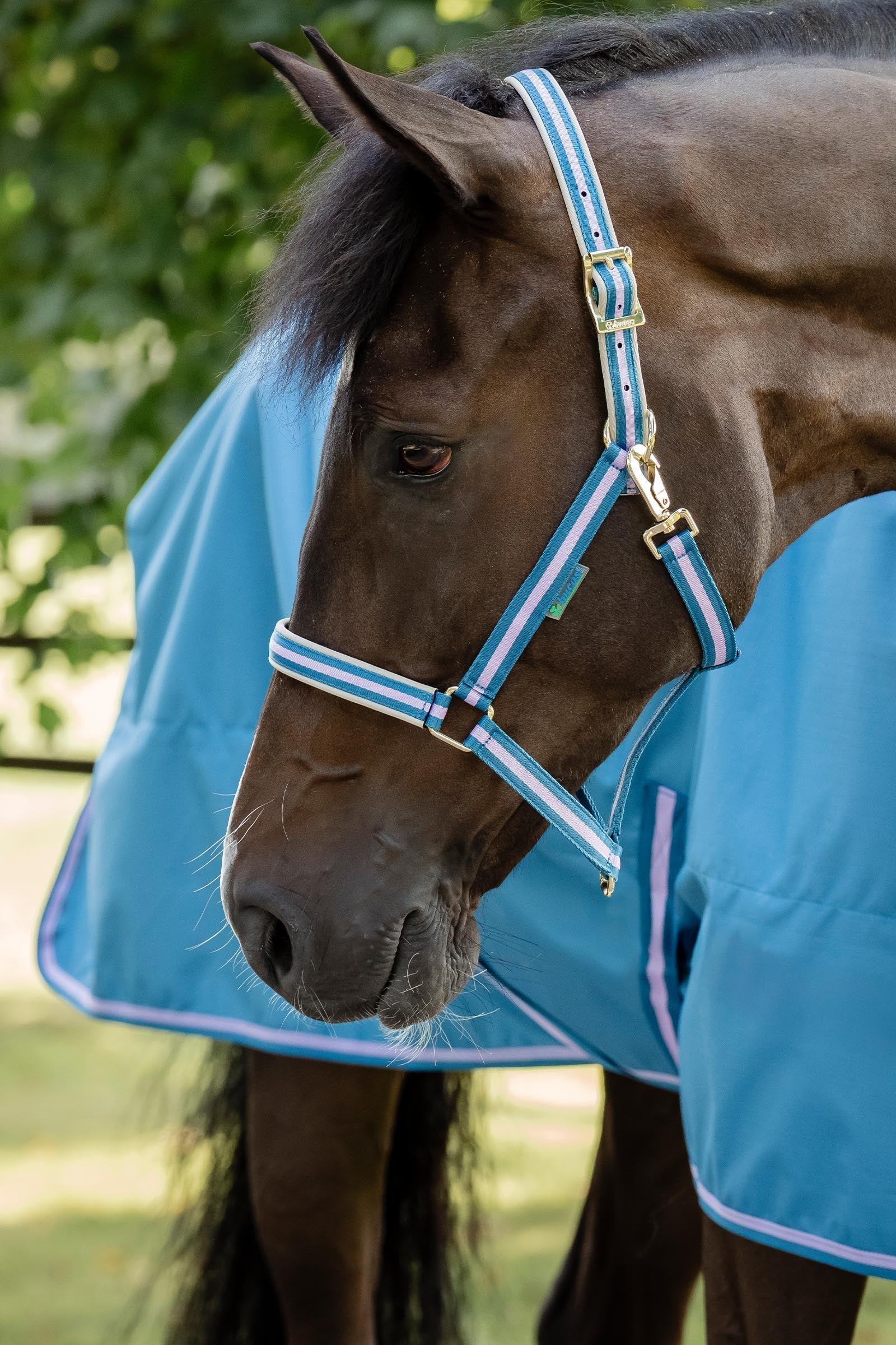 Bucas Freedom Pony Turnout Rug, 300g Horse Rugs