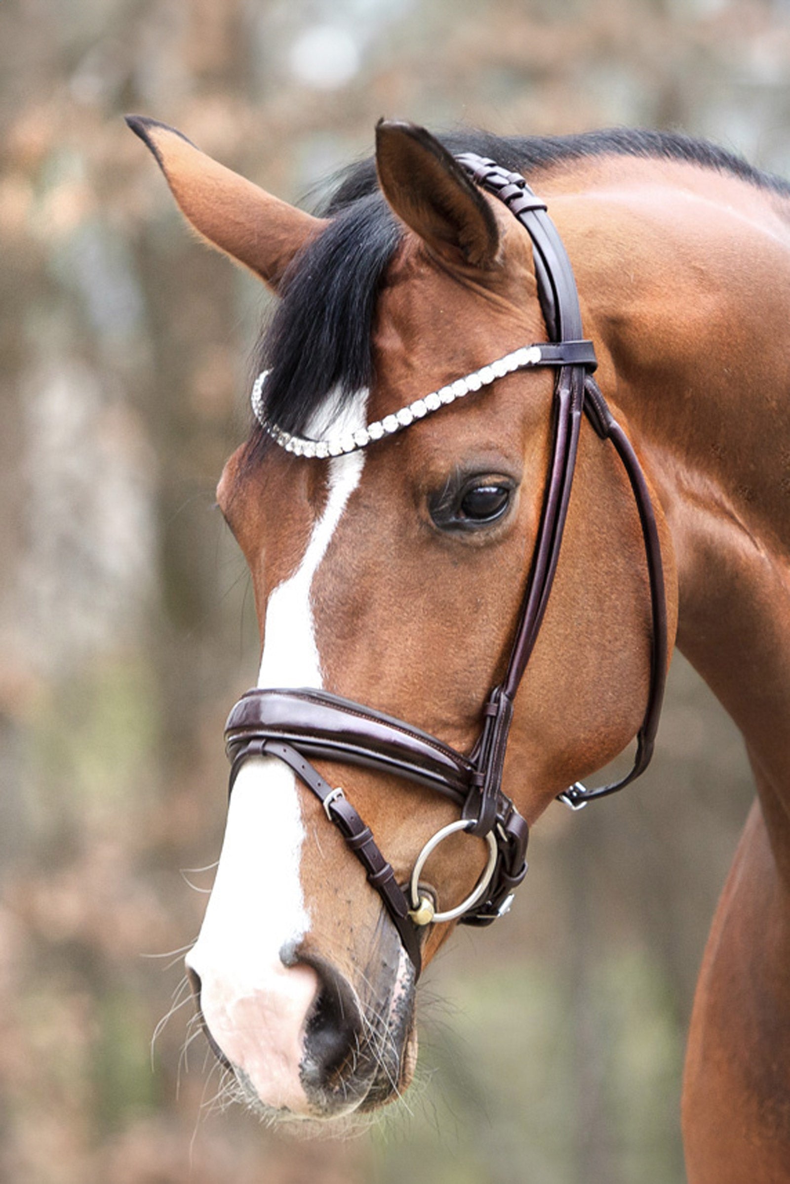 Kavalkade Florina Patent Leather Bridle With Crank Noseband Bridles & Reins