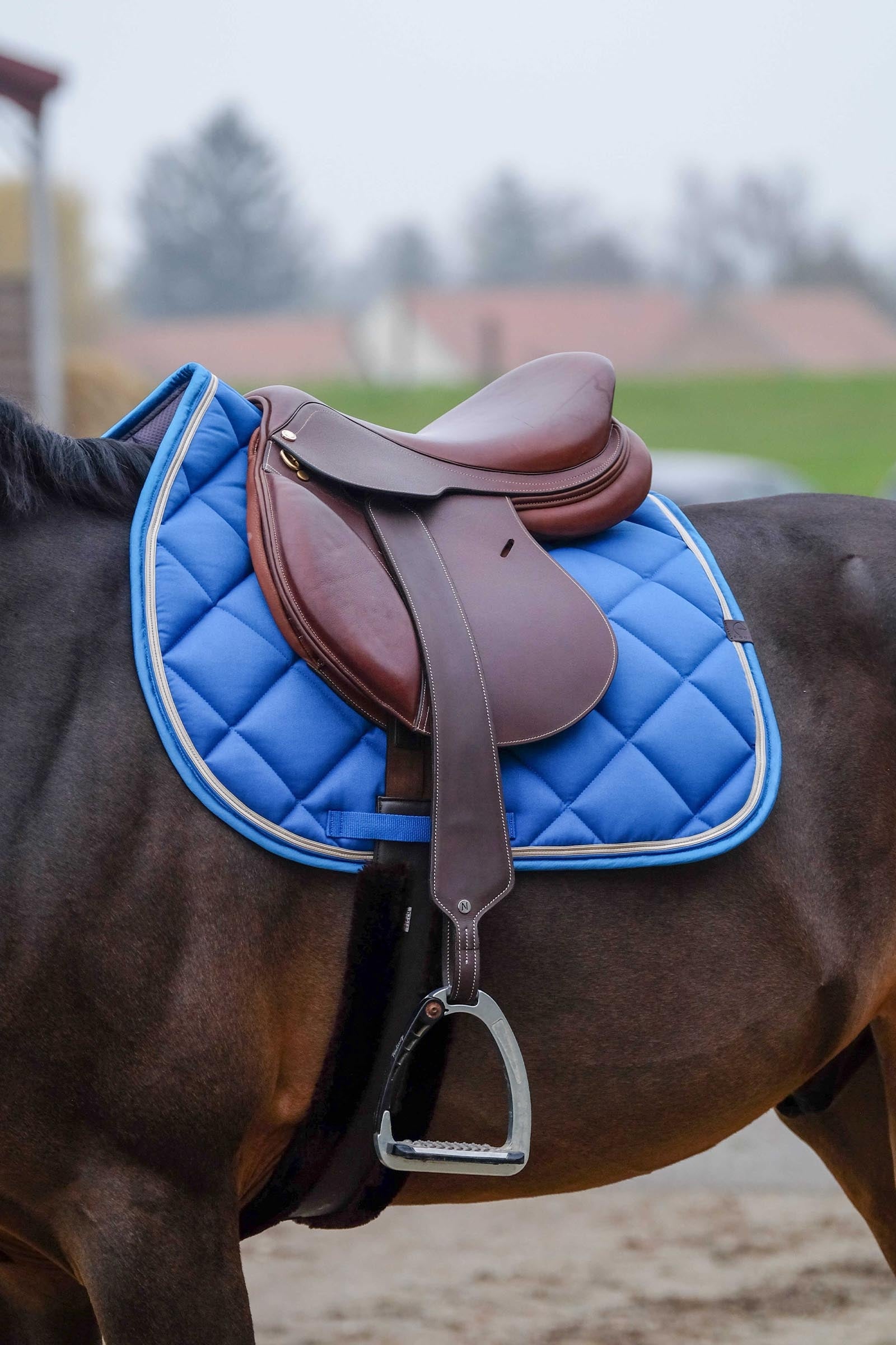 EQUITHÈME Classic Saddle Pad Saddle Pads