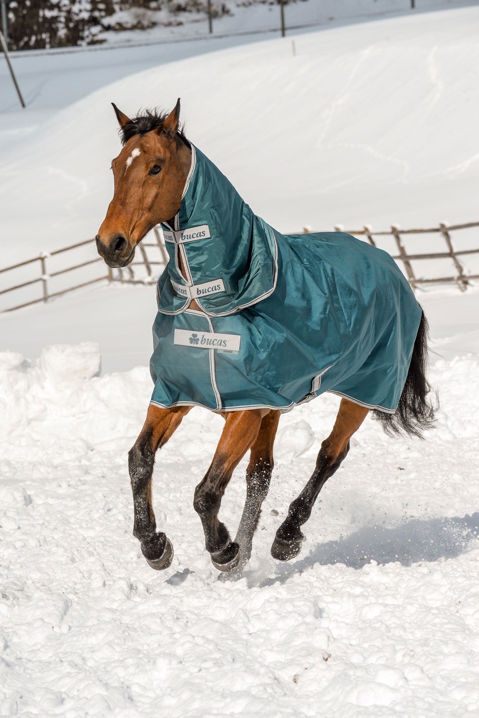 Bucas Atlantic Turnout Rug, 200g Horse Rugs