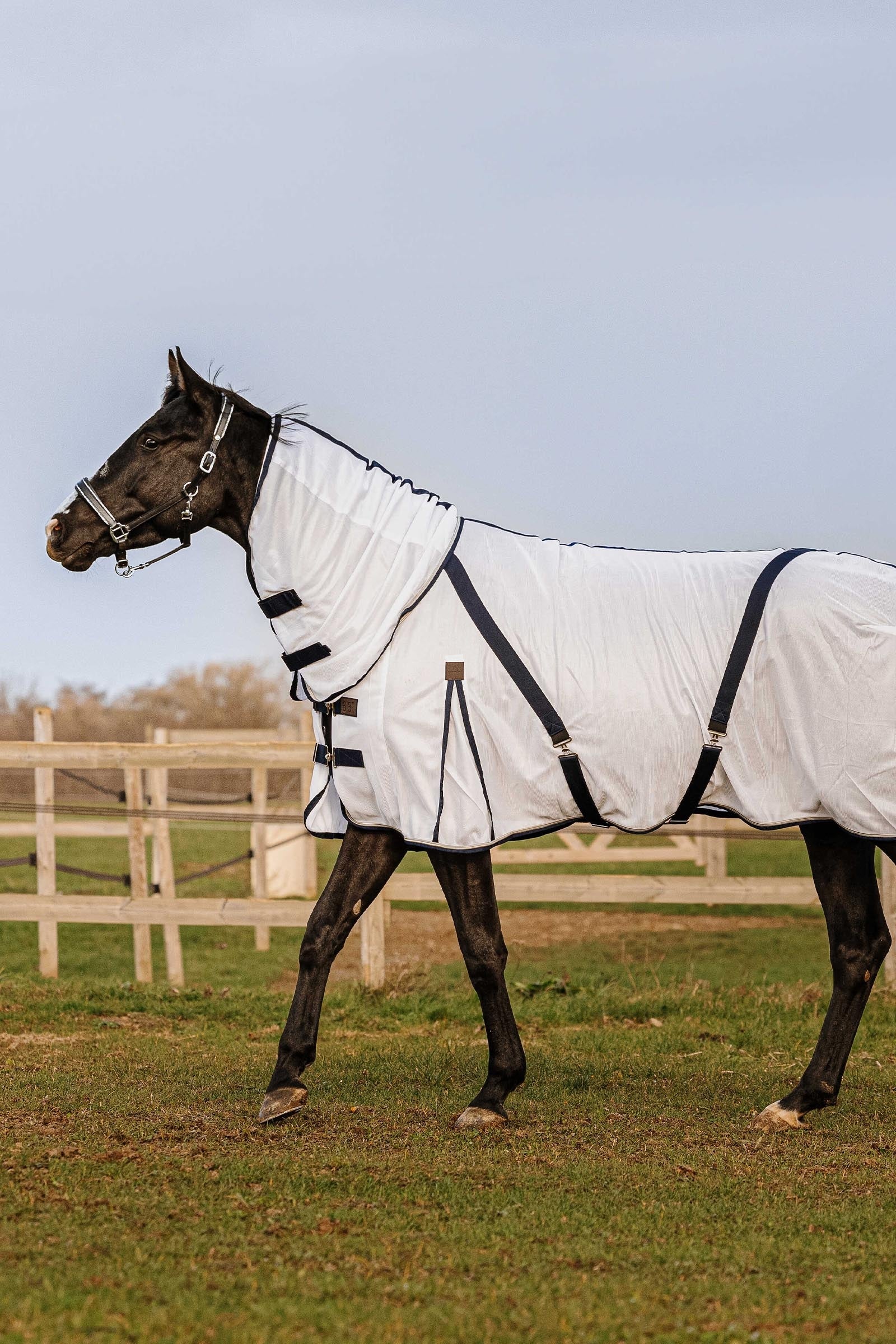 Equi Theme EQUITHÈME Mesh Combo Anti-Insect Sheet Horse Rugs