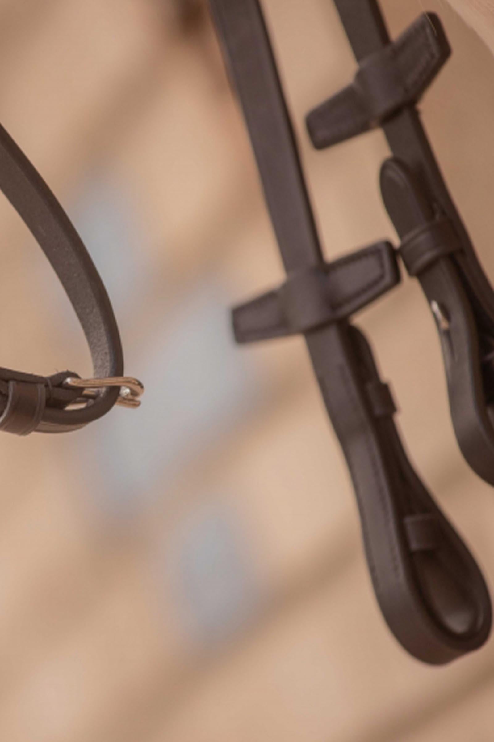 PENELOPE Symphonie Reins Bridles & Reins