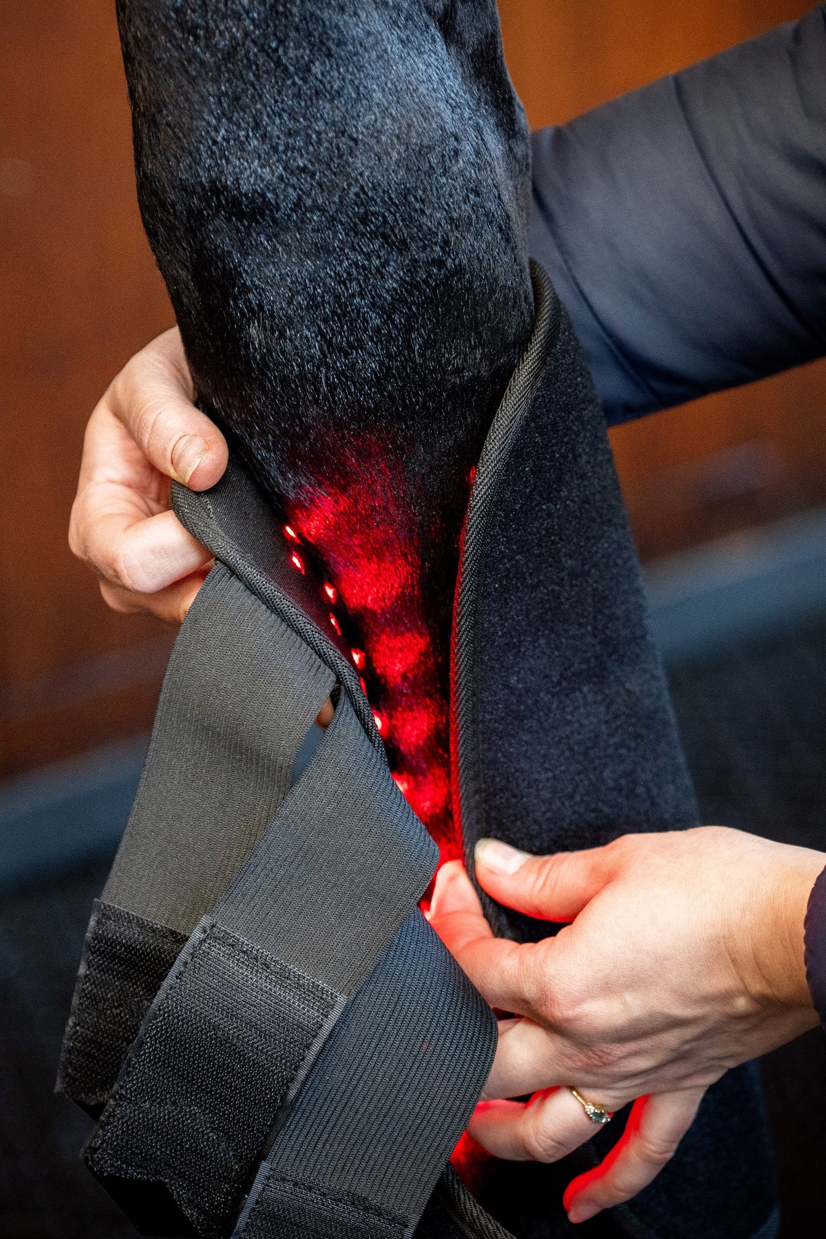 Horseware LED Red Light Therapy Leg Wraps Leg & Hoof Protection