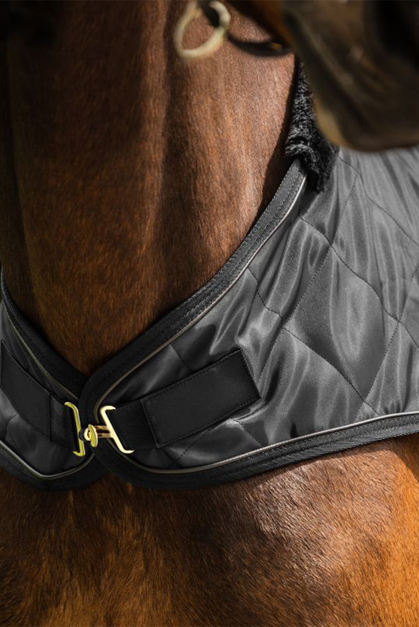 Waldhausen Exclusive Horsewalker Sheet, 50g Horse Rugs