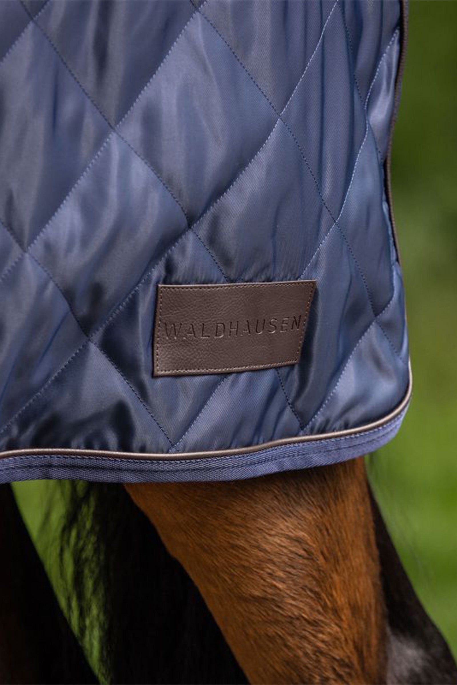 Waldhausen Exclusive Horsewalker Sheet, 50g Horse Rugs