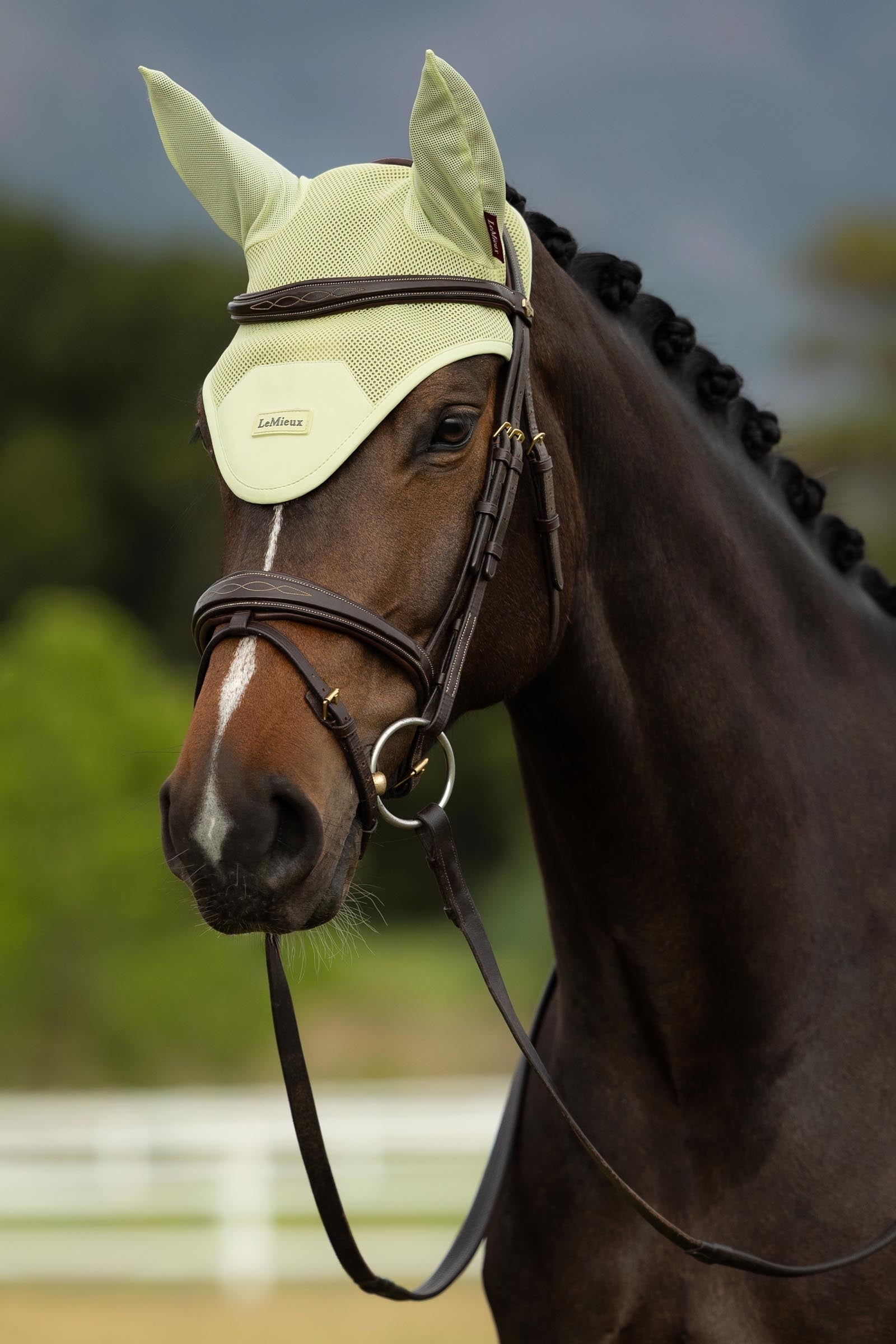 LeMieux Air-Tek Mesh Fly Hood Antifly Protection for Horses