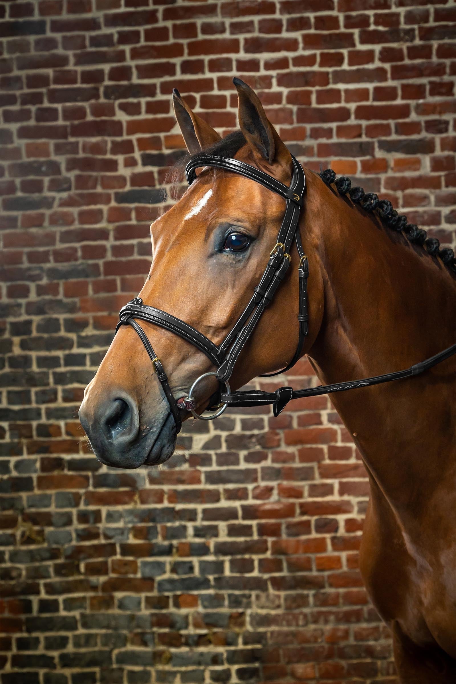 Dy'on D Collection Bridle With Flash Noseband Bridles & Reins