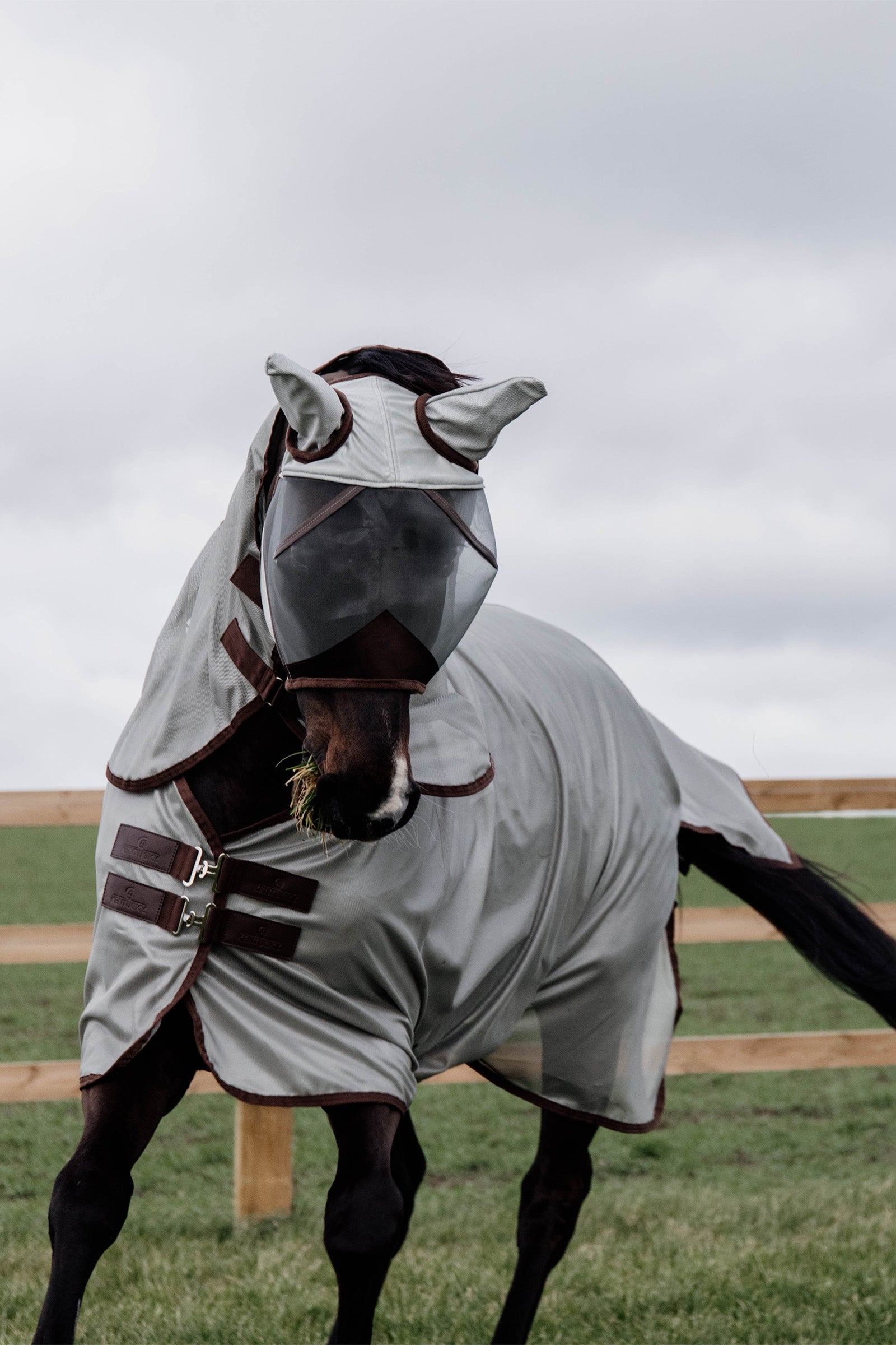 Kentucky Horsewear Classic Mesh Fly Rug Horse Rugs