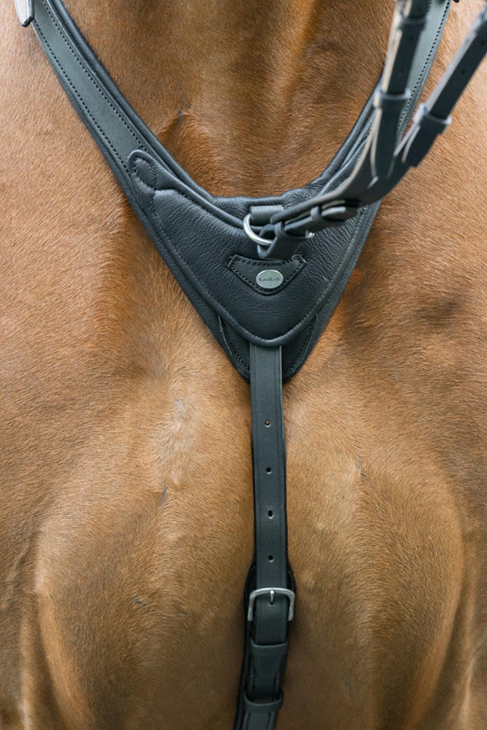 Kavalkade Azriel Martingale, Softly Padded Bridles & Reins