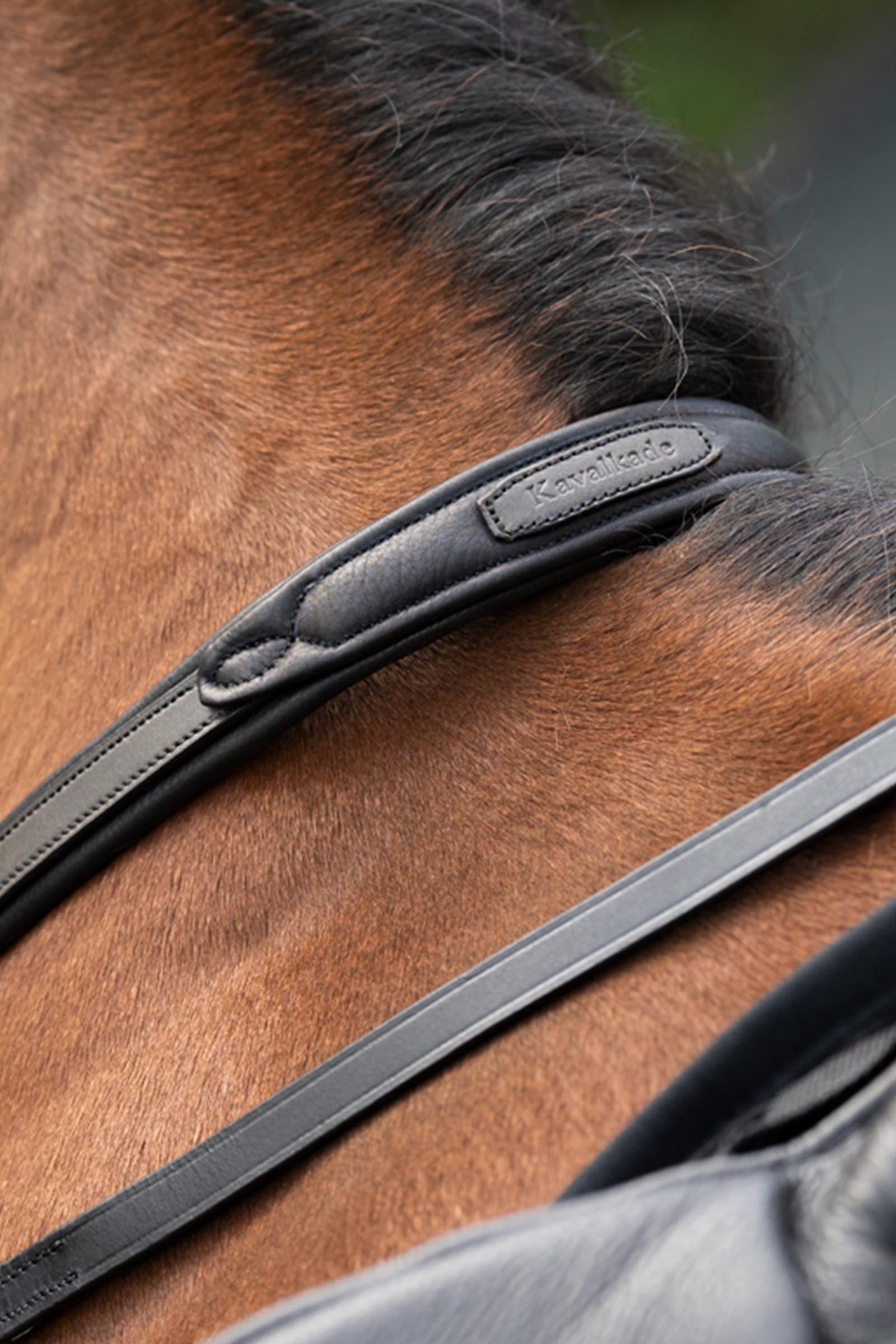 Kavalkade Azriel Martingale, Softly Padded Bridles & Reins