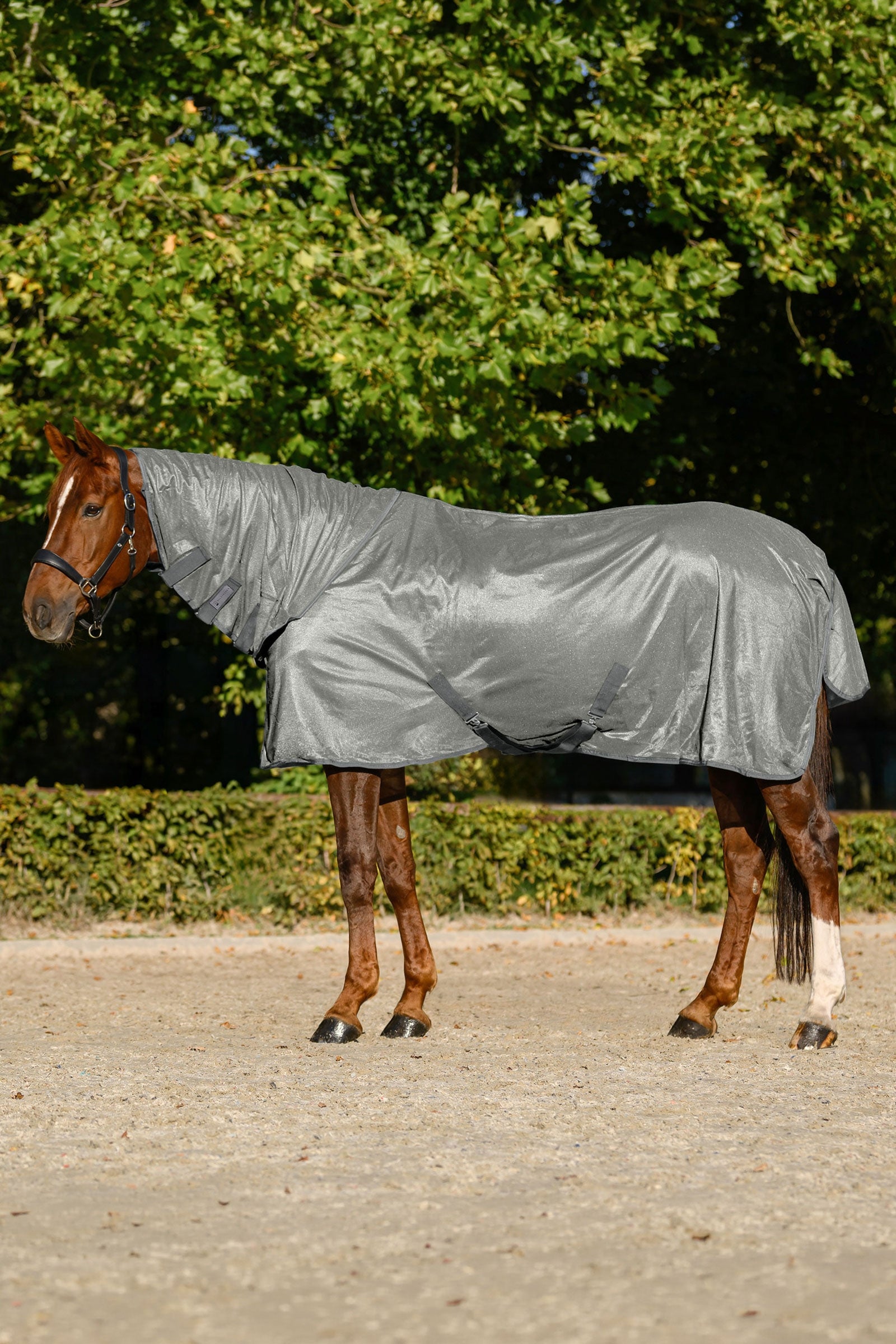 Waldhausen FlyControl Fly Rug With Neck and UV-Protection Horse Rugs