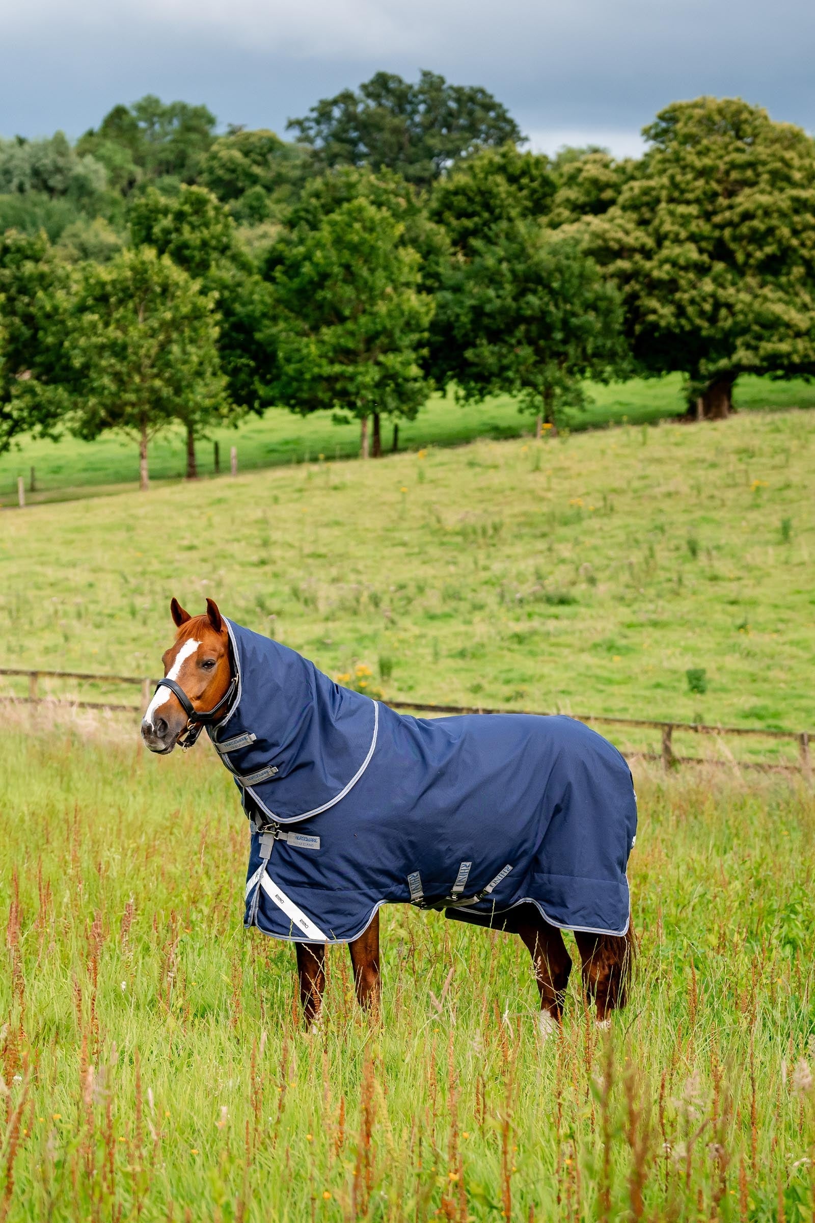 Horseware Rhino Plus Turnout Rug with Detachable Neck, 0g Horse Rugs