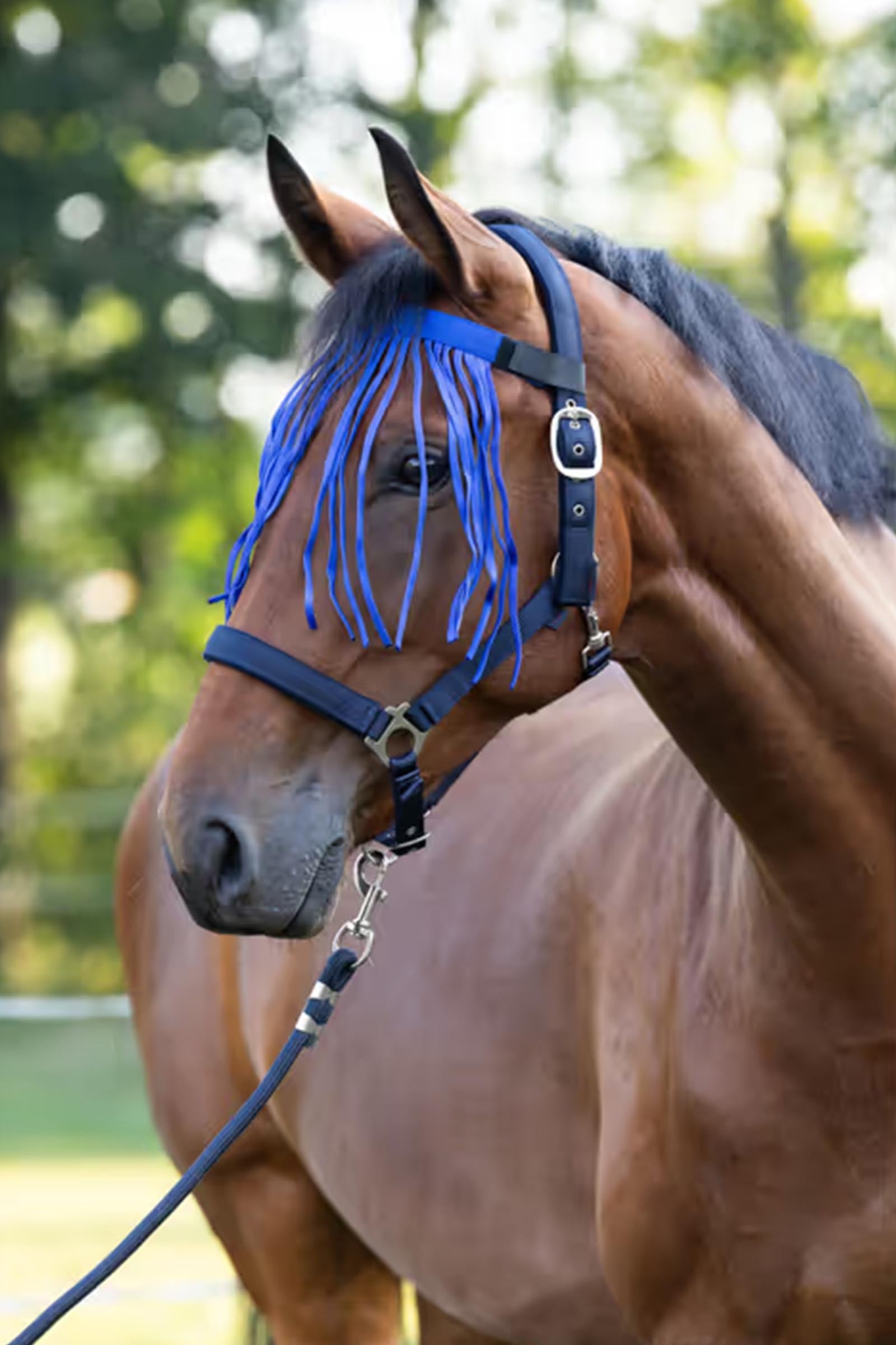 Covalliero Fly Fringe Strap Antifly Protection for Horses