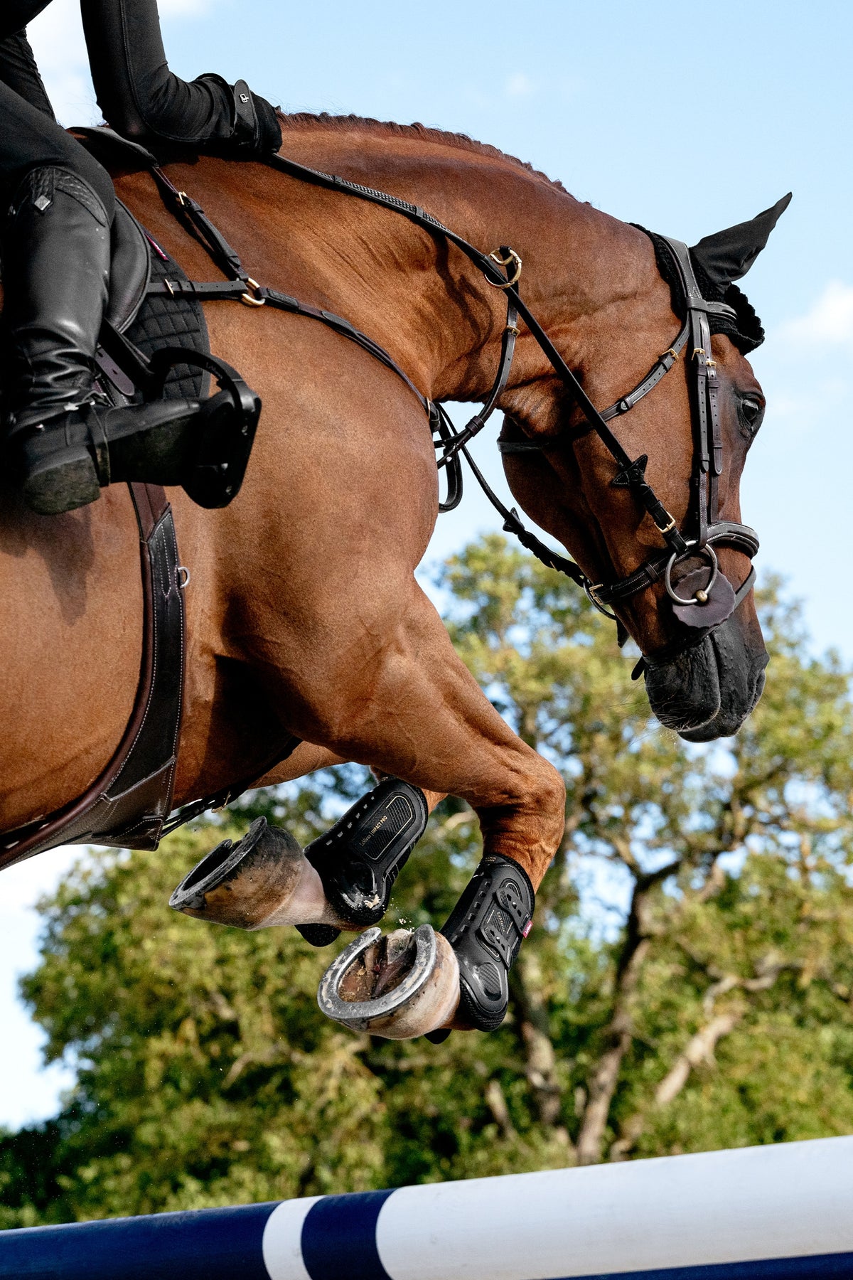 LeMieux Lemieux Impact Pro Tendon Boot Leg & Hoof Protection