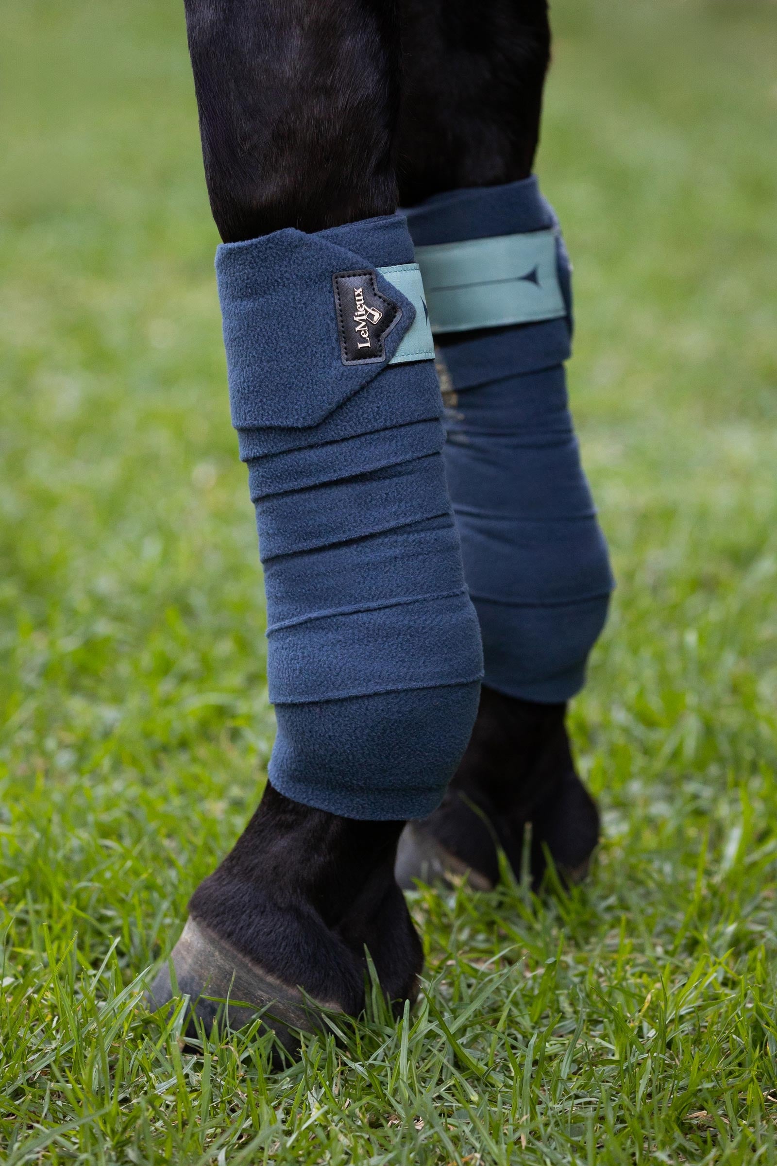 LeMieux Polo Bandages Leg Protection & Hoof Protection for Horses