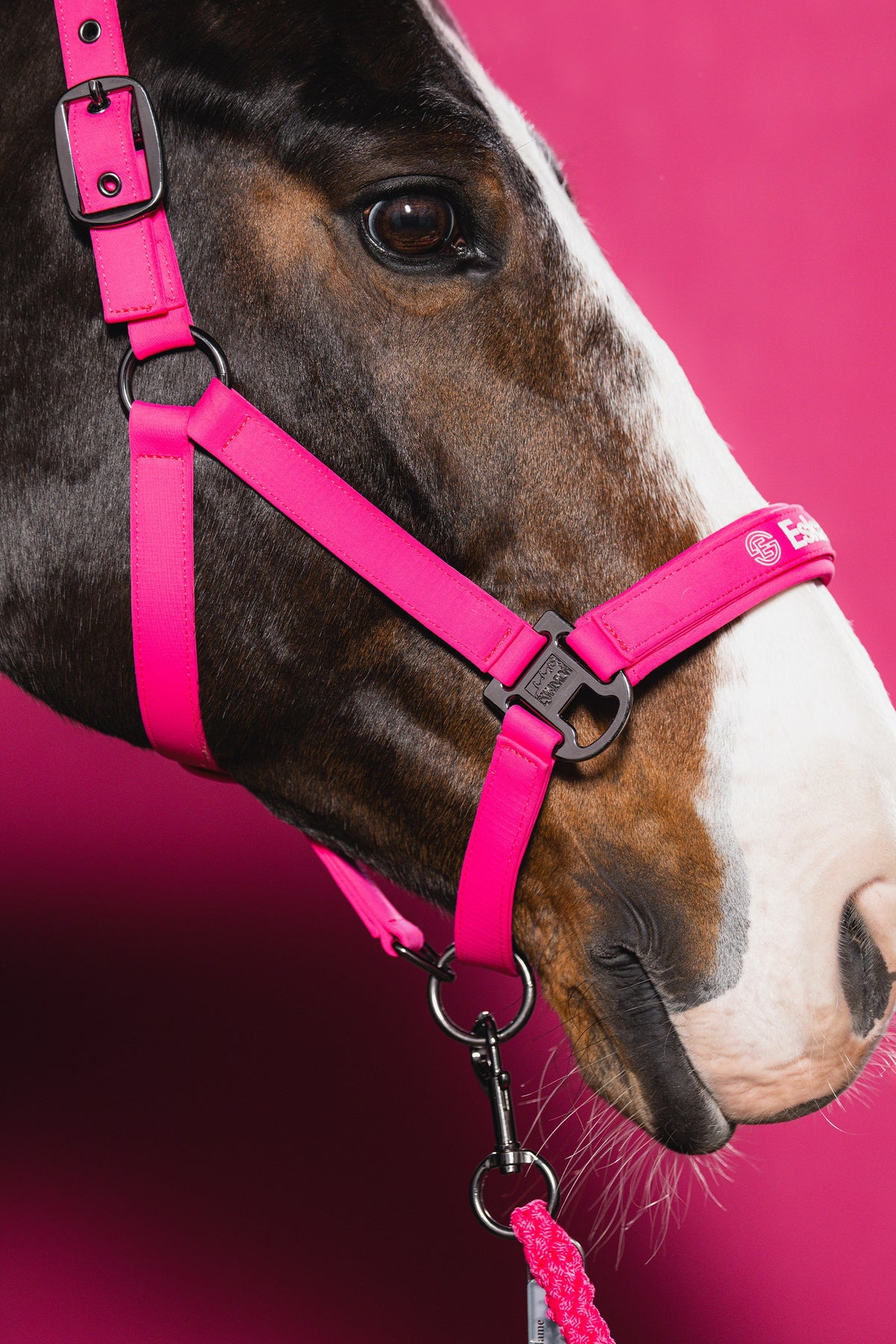 Eskadron Dynamic AW26 Softshell Double PIN Headcollar Halters & Leads