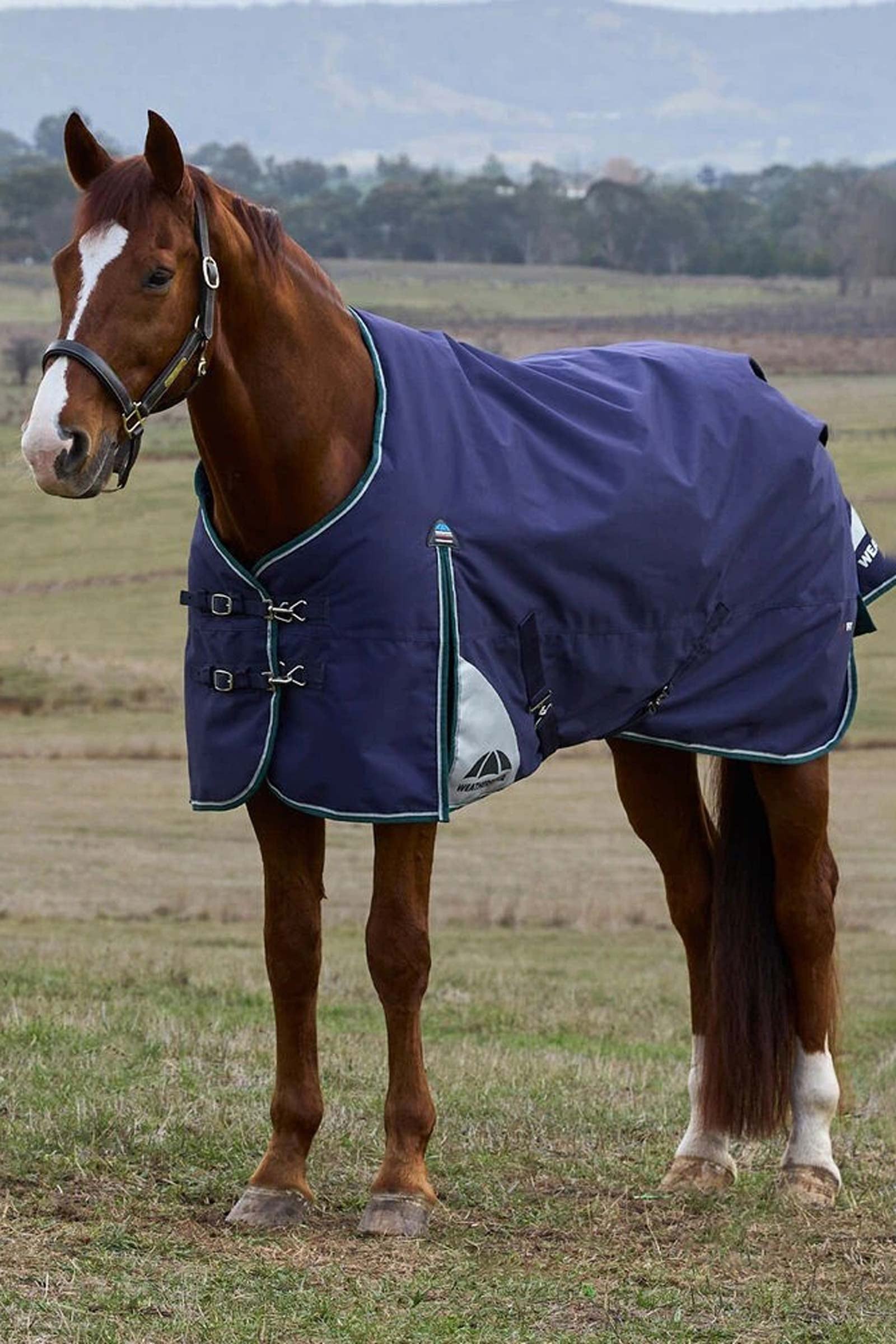 Weatherbeeta ComFiTecPlus Dynamic Turnout Rug, 0 g Horse Rugs
