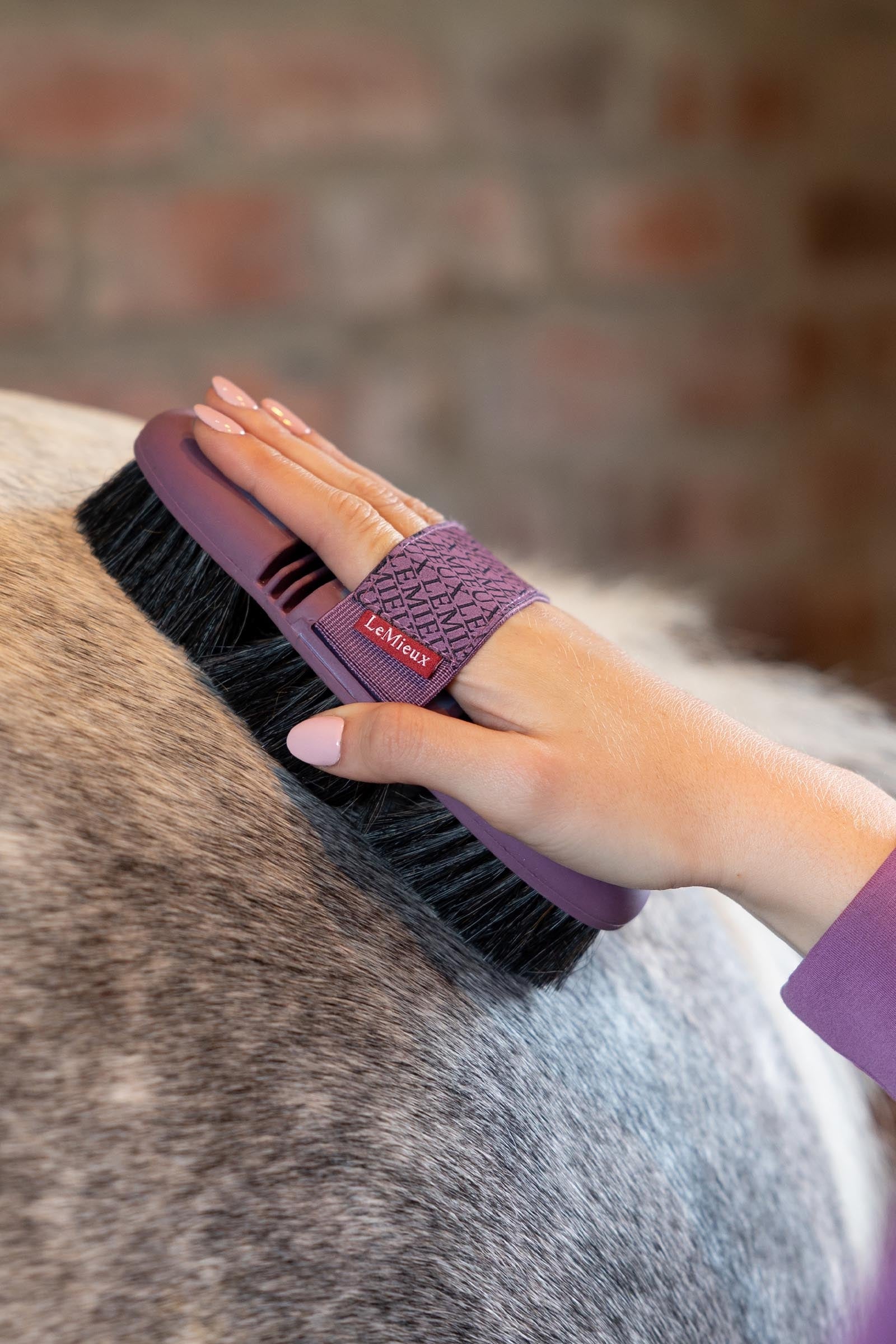 LeMieux Flexi Horse Hair Body Brush Horse Grooming Tools