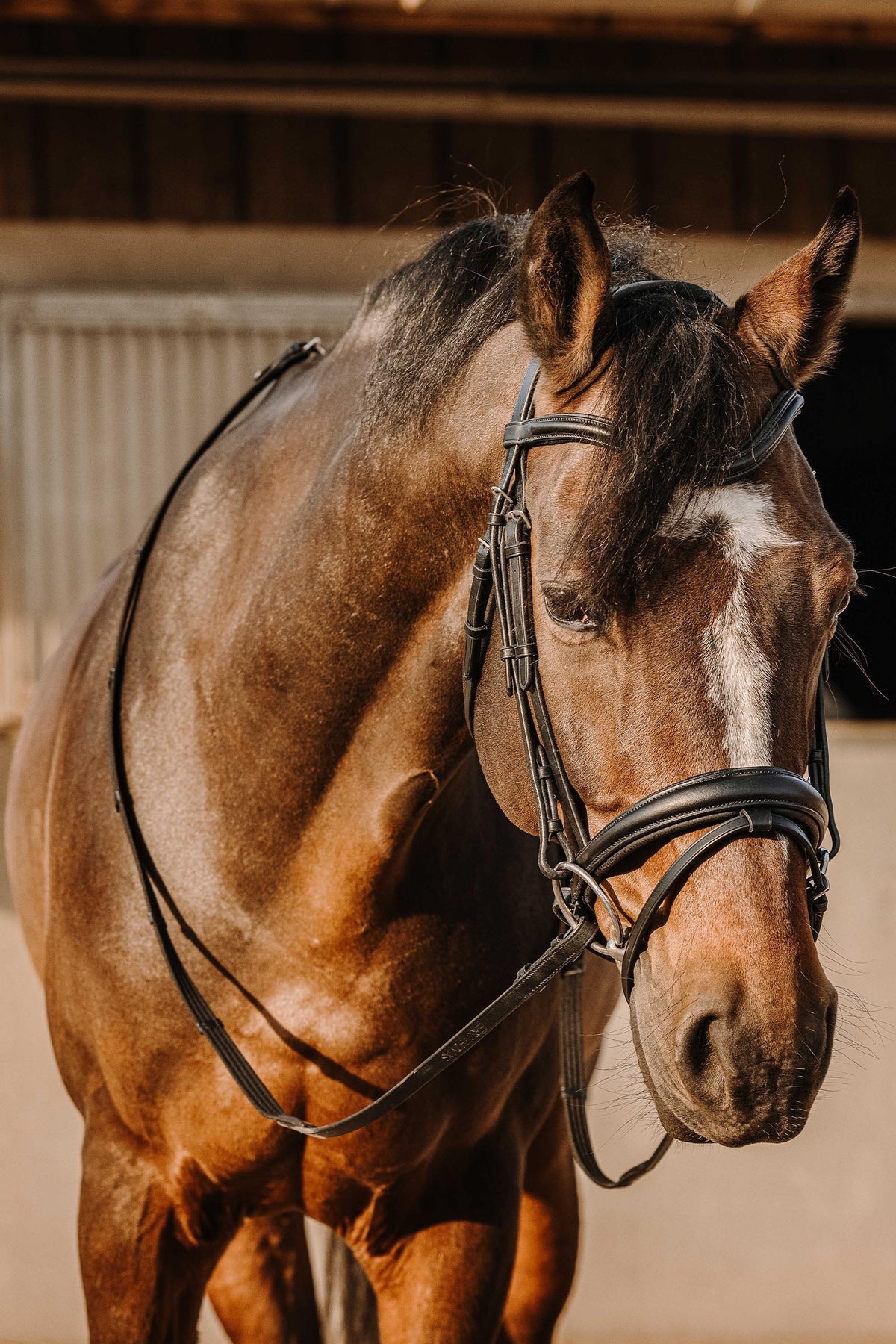 ERIC THOMAS Bat Bridle Bridles & Reins