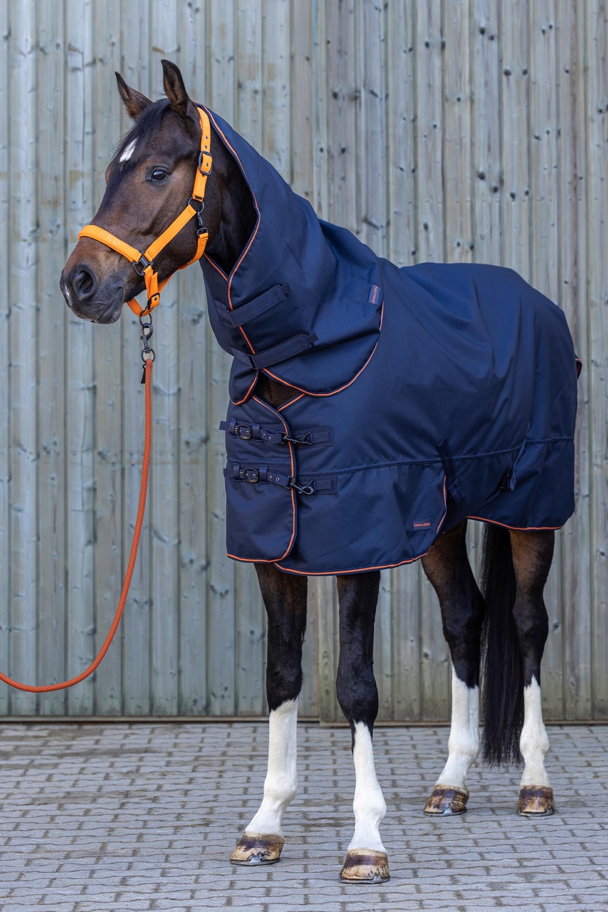 Covalliero FW26 Neck Piece 100g Horse Rugs