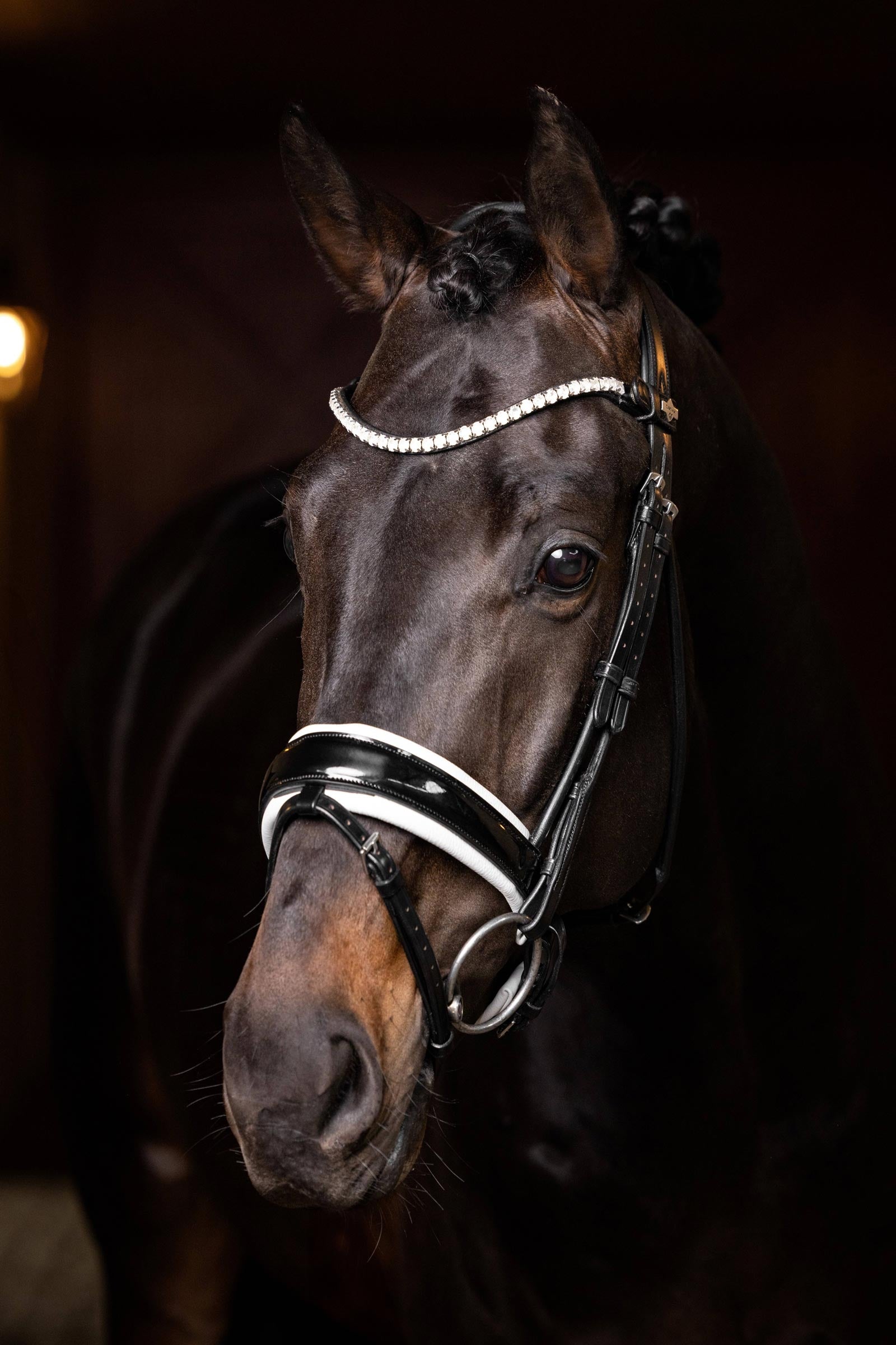 LeMieux Ice Crystal Browband Bridles & Reins